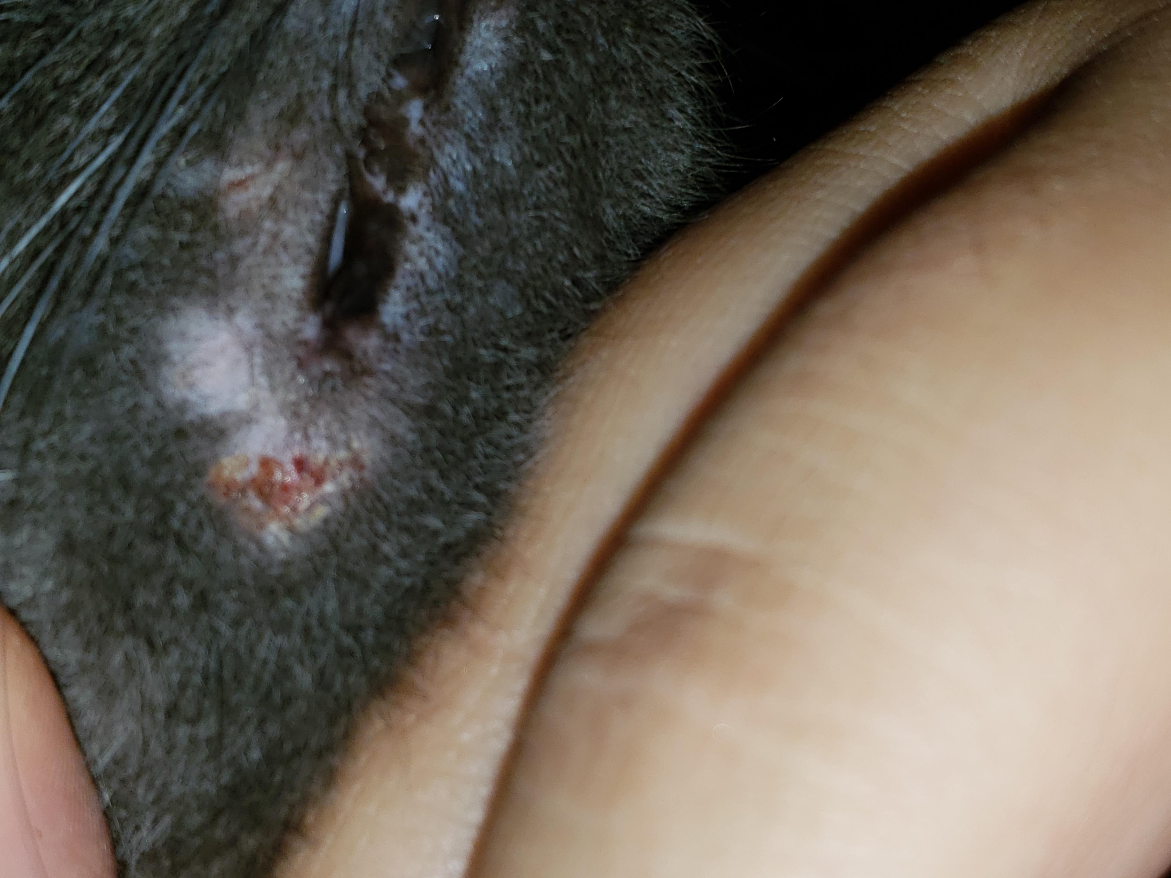 Question details sensitive content