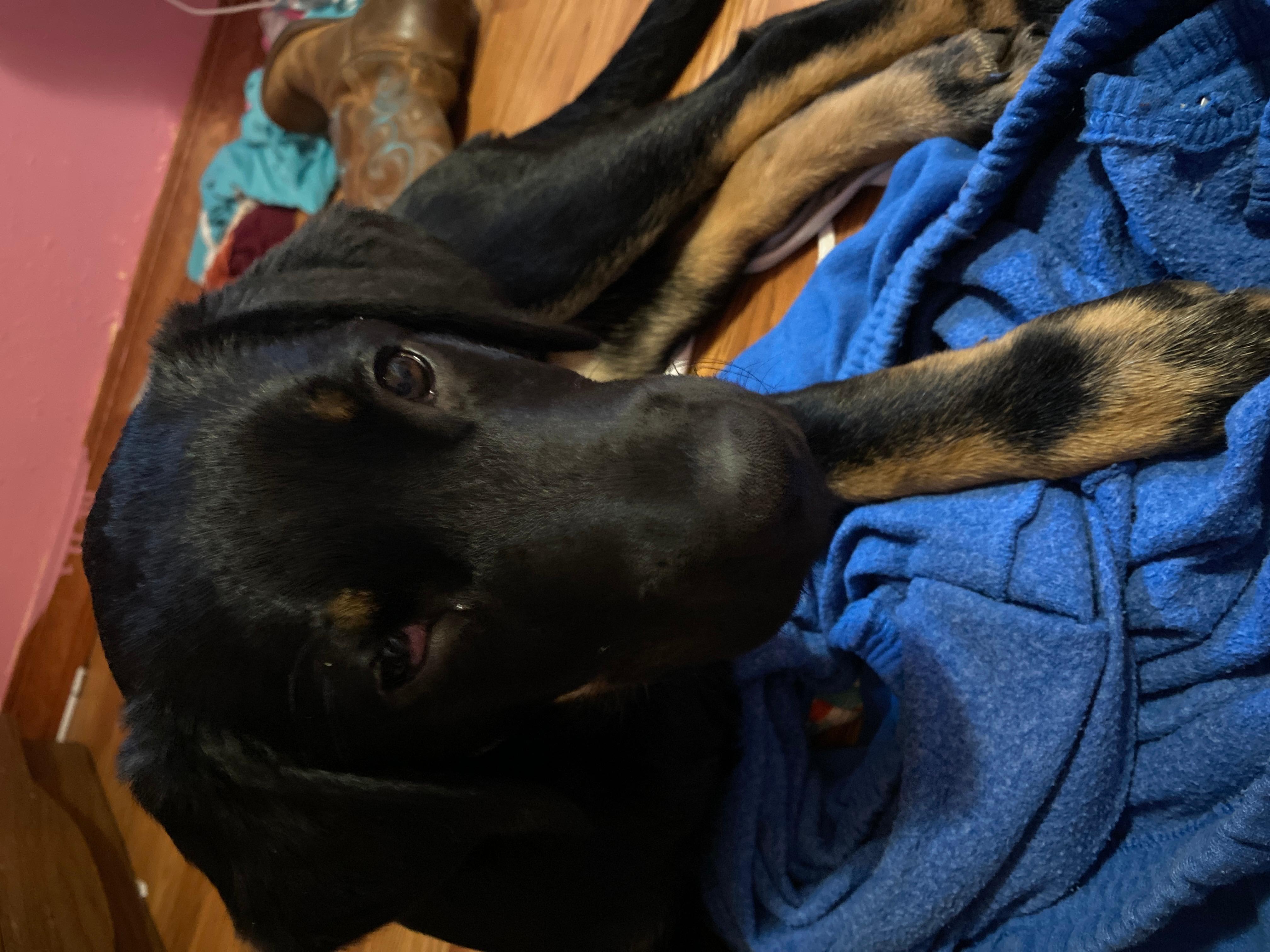 Question details sensitive content