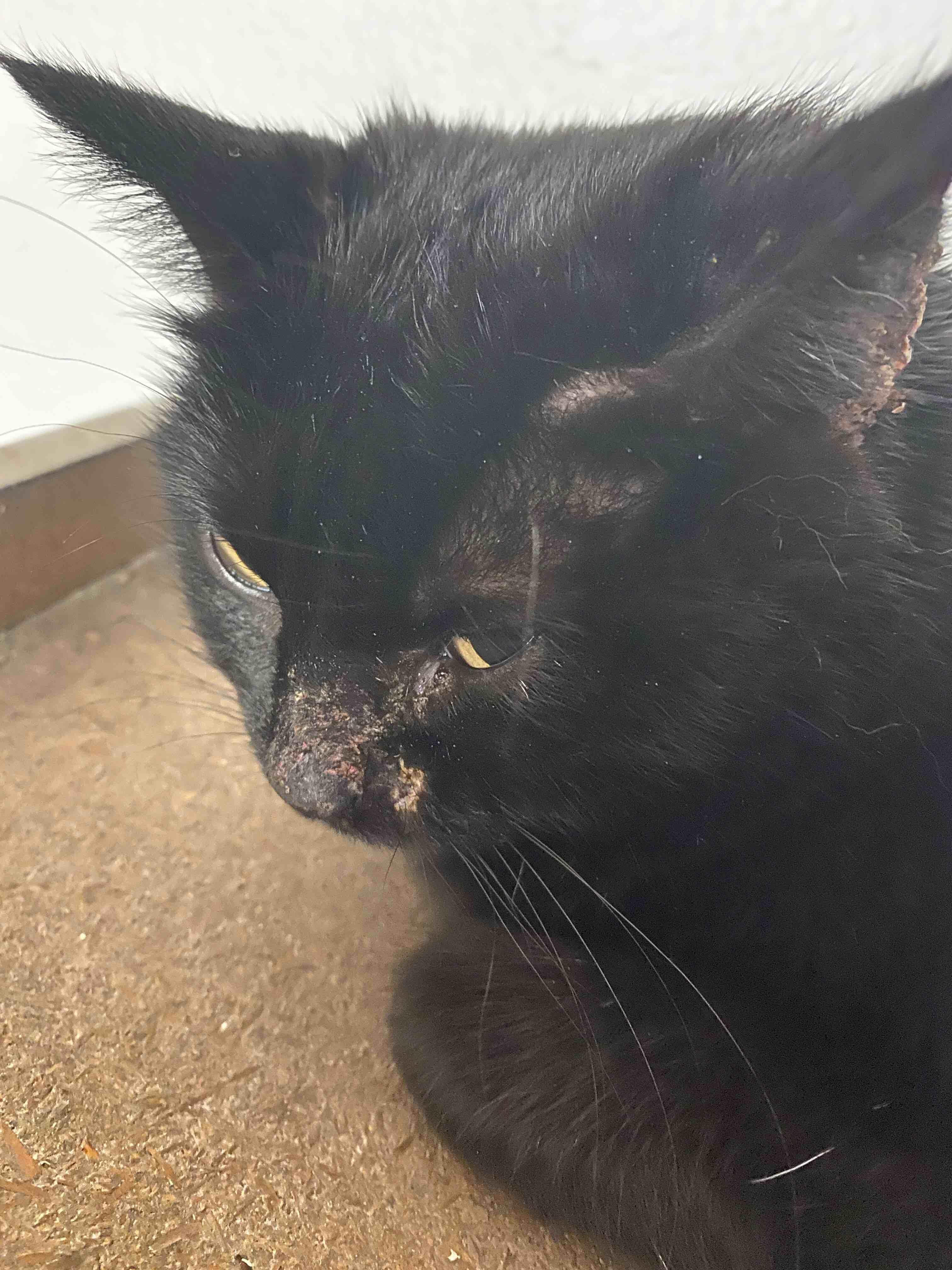 Question details sensitive content