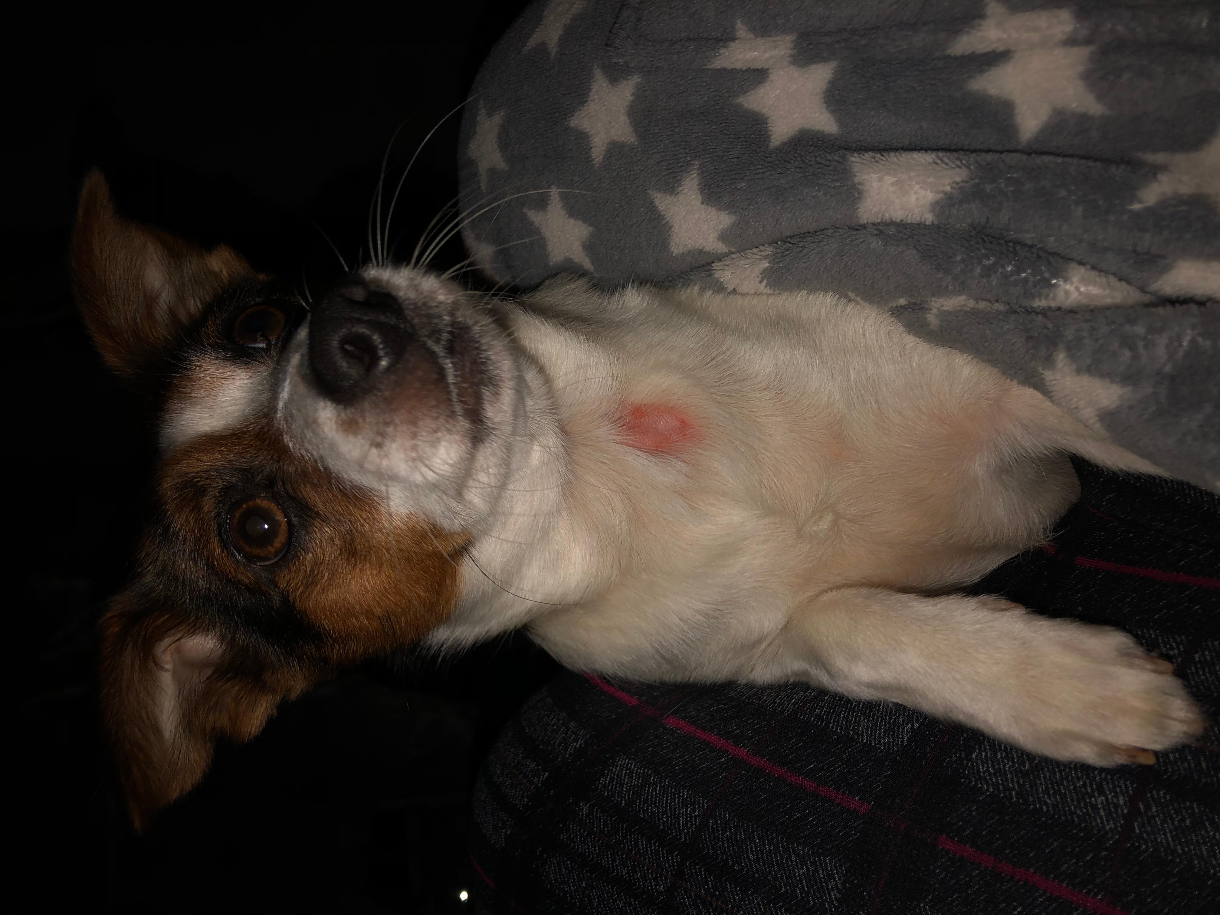 Question details sensitive content