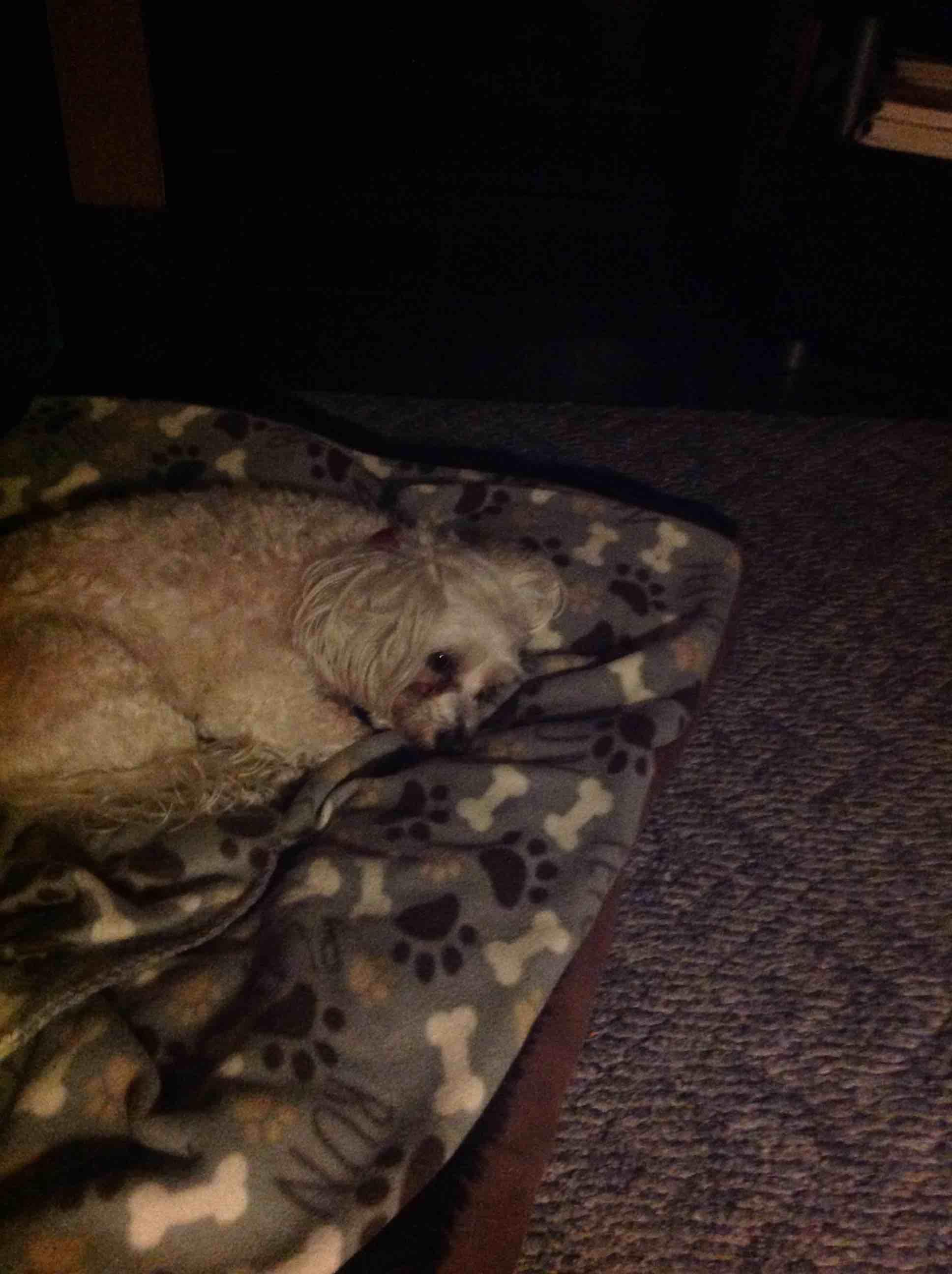 Question details sensitive content