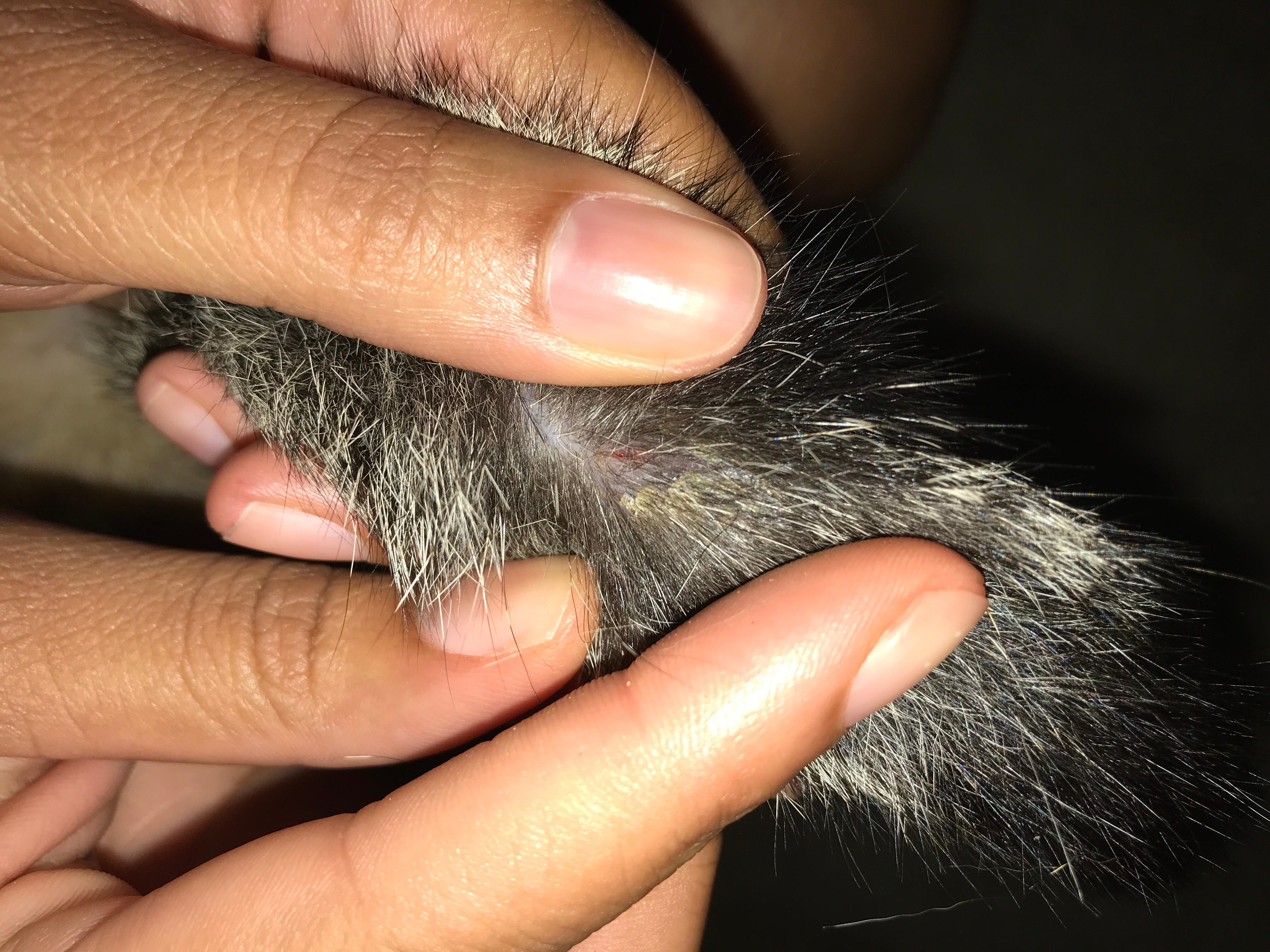 Question details sensitive content