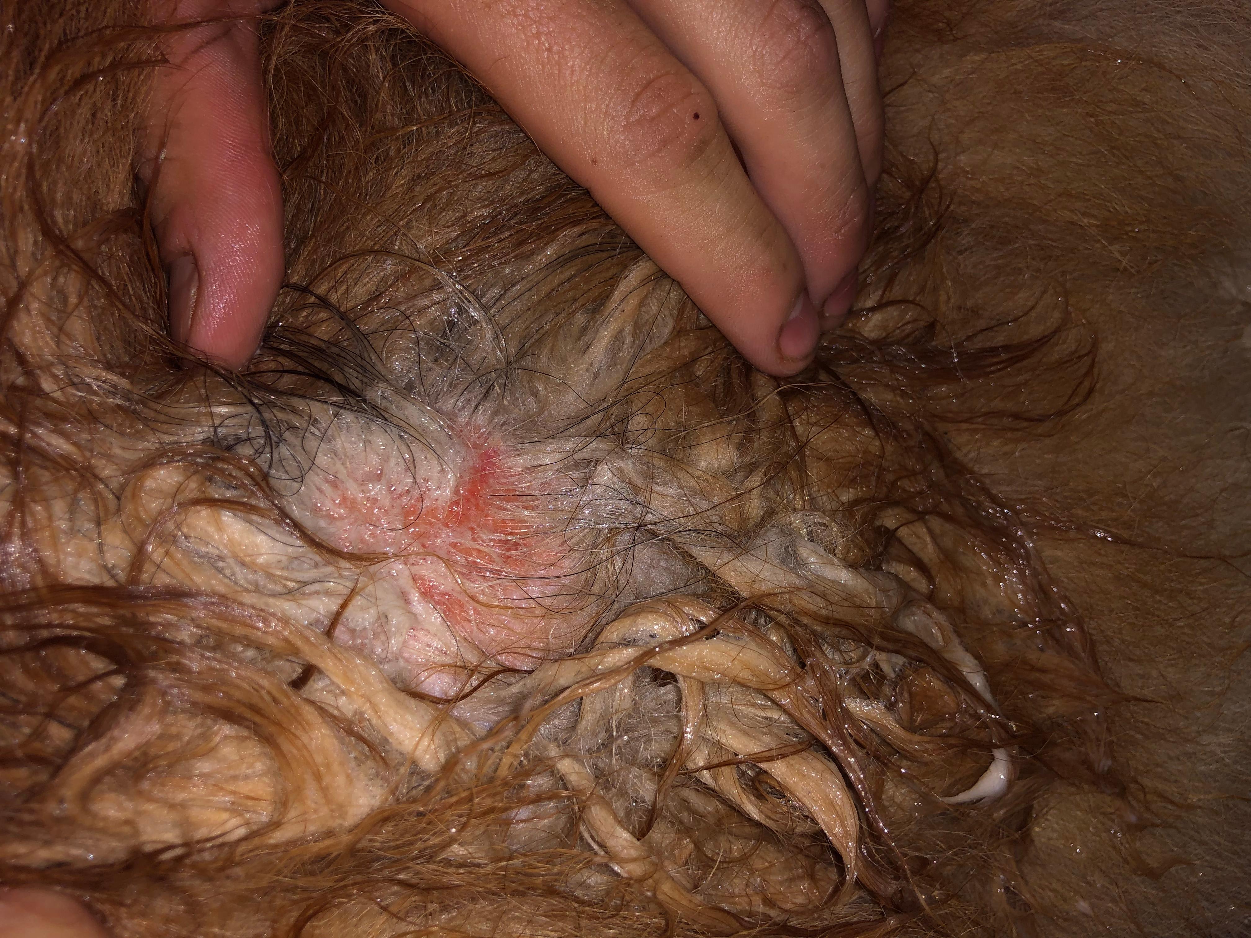 Question details sensitive content