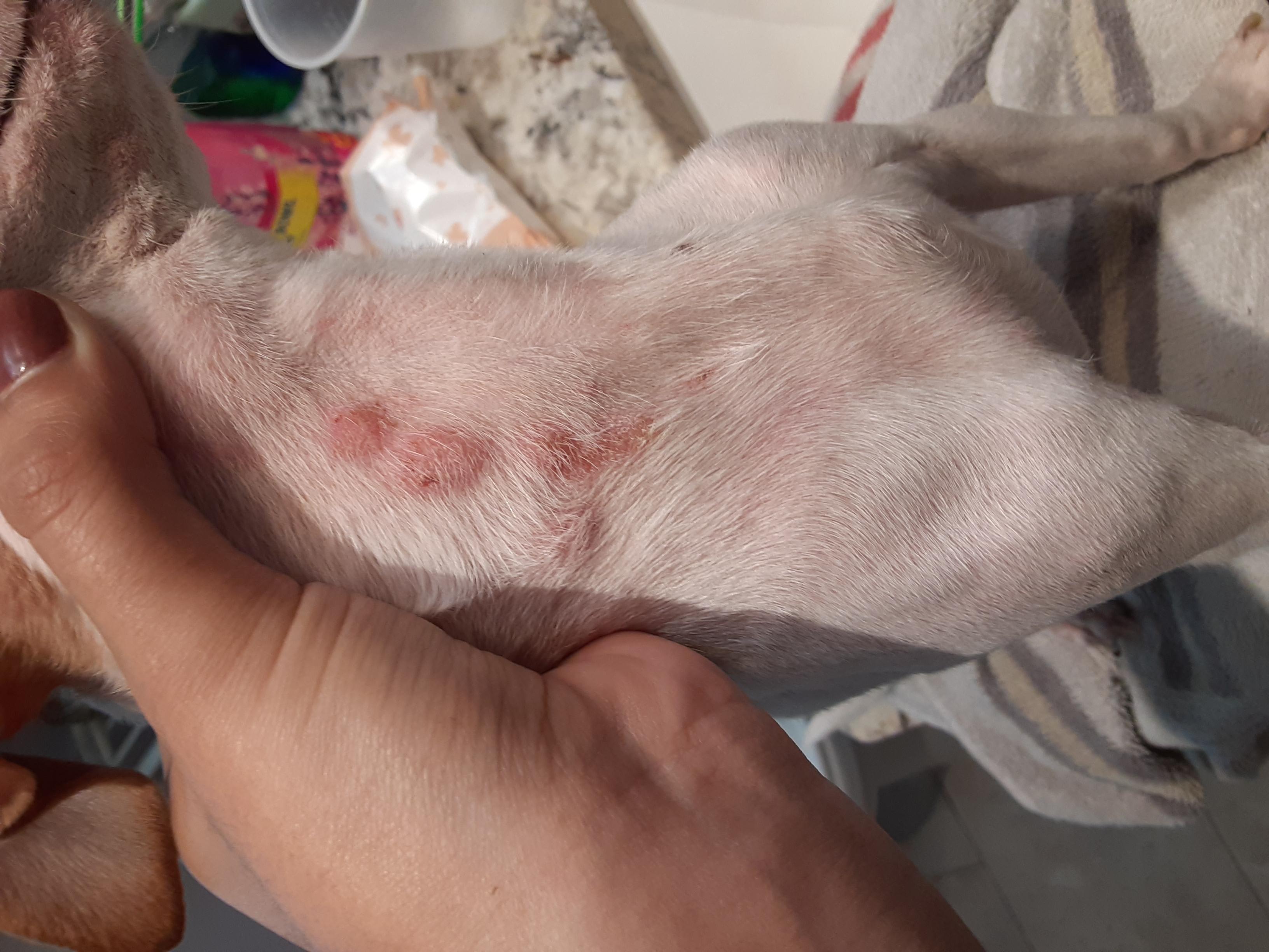 Question details sensitive content