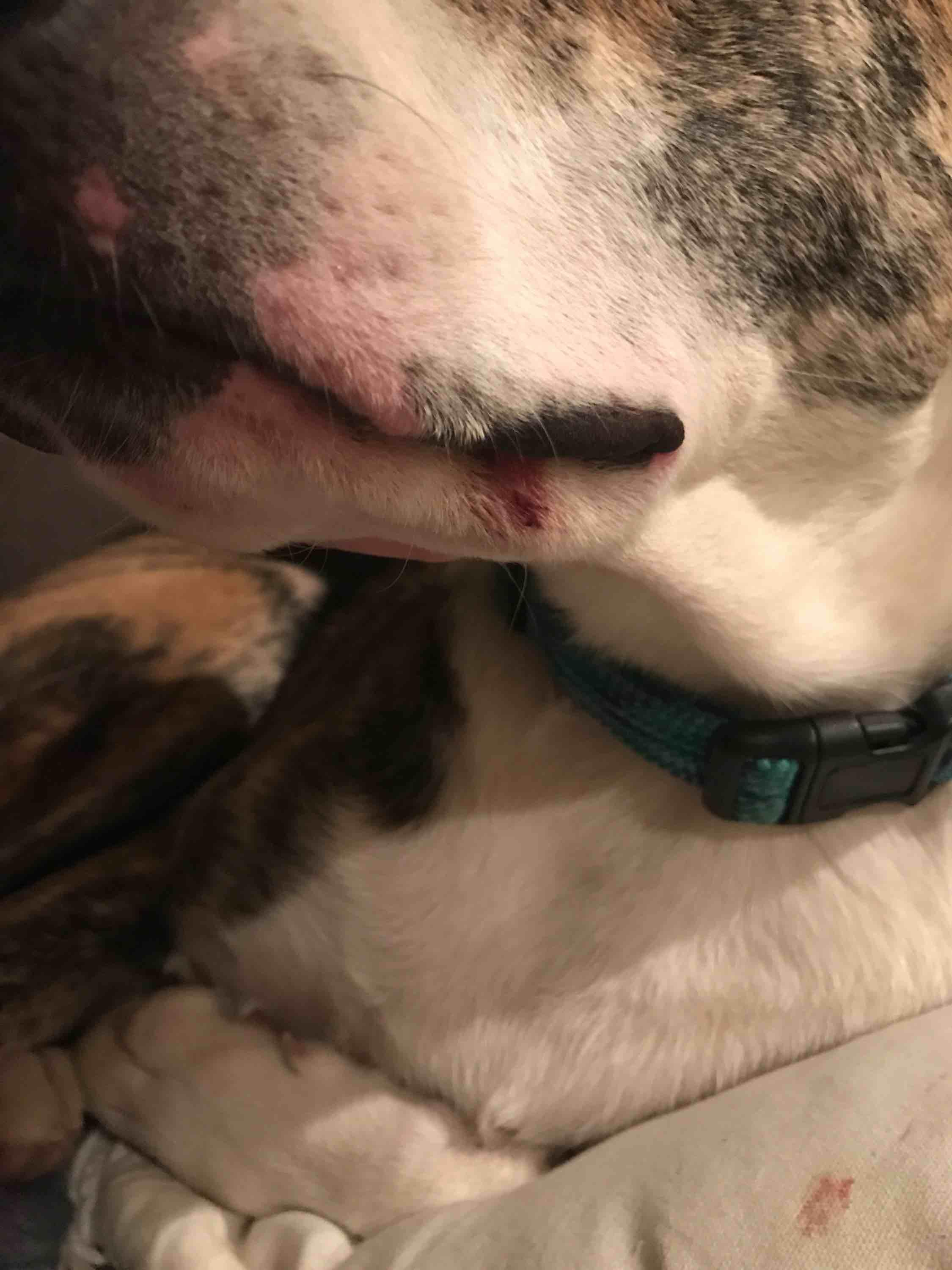 Question details sensitive content