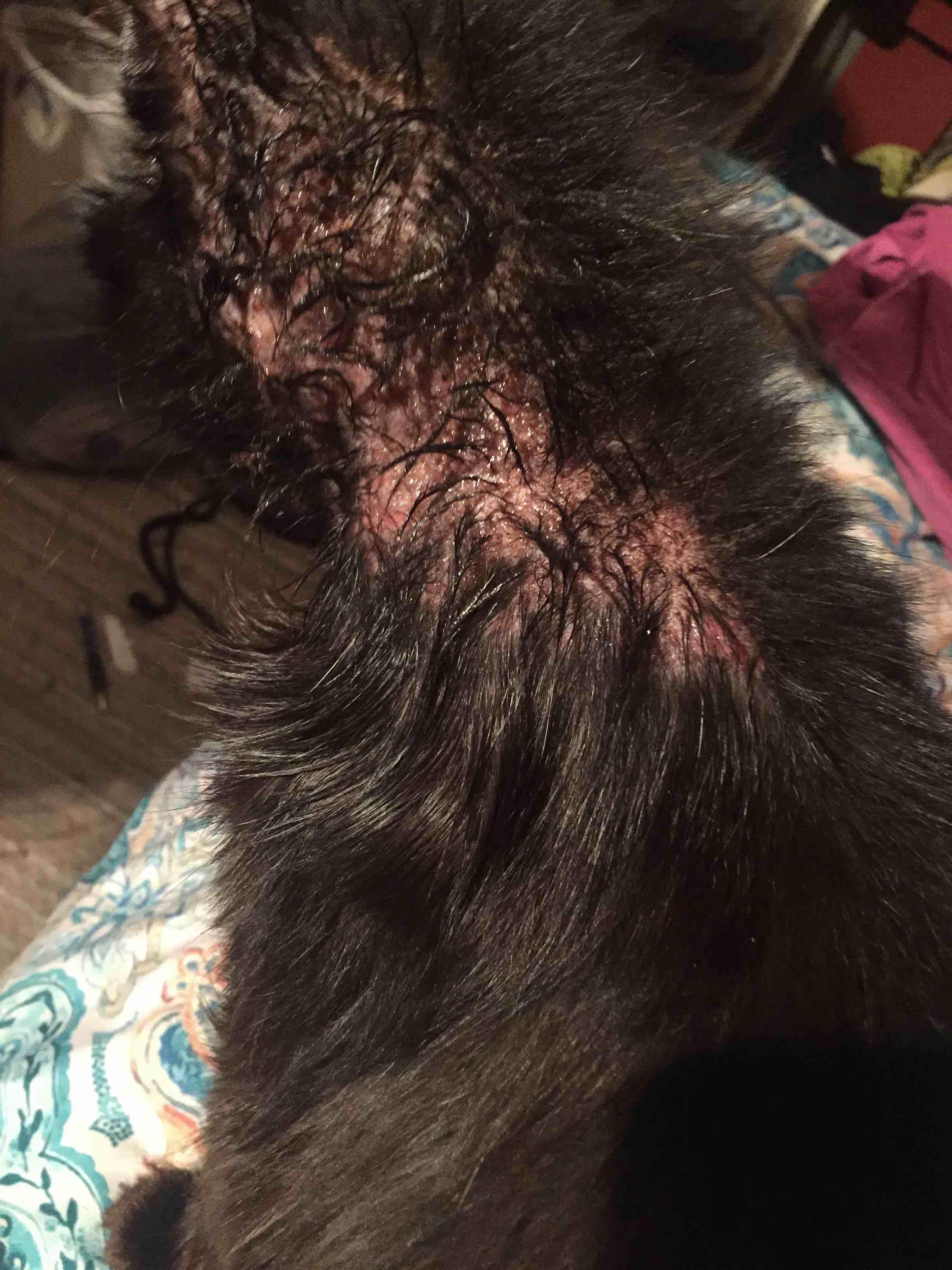 Question details sensitive content