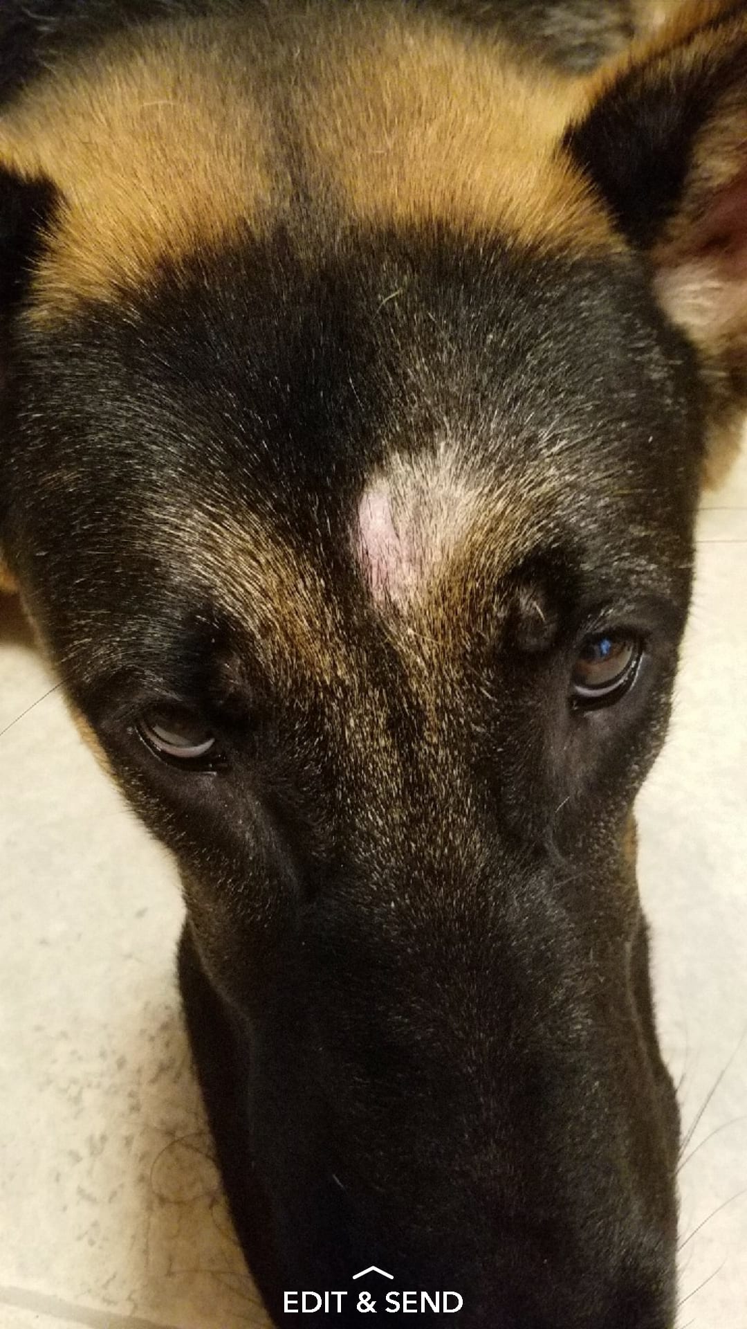 Question details sensitive content