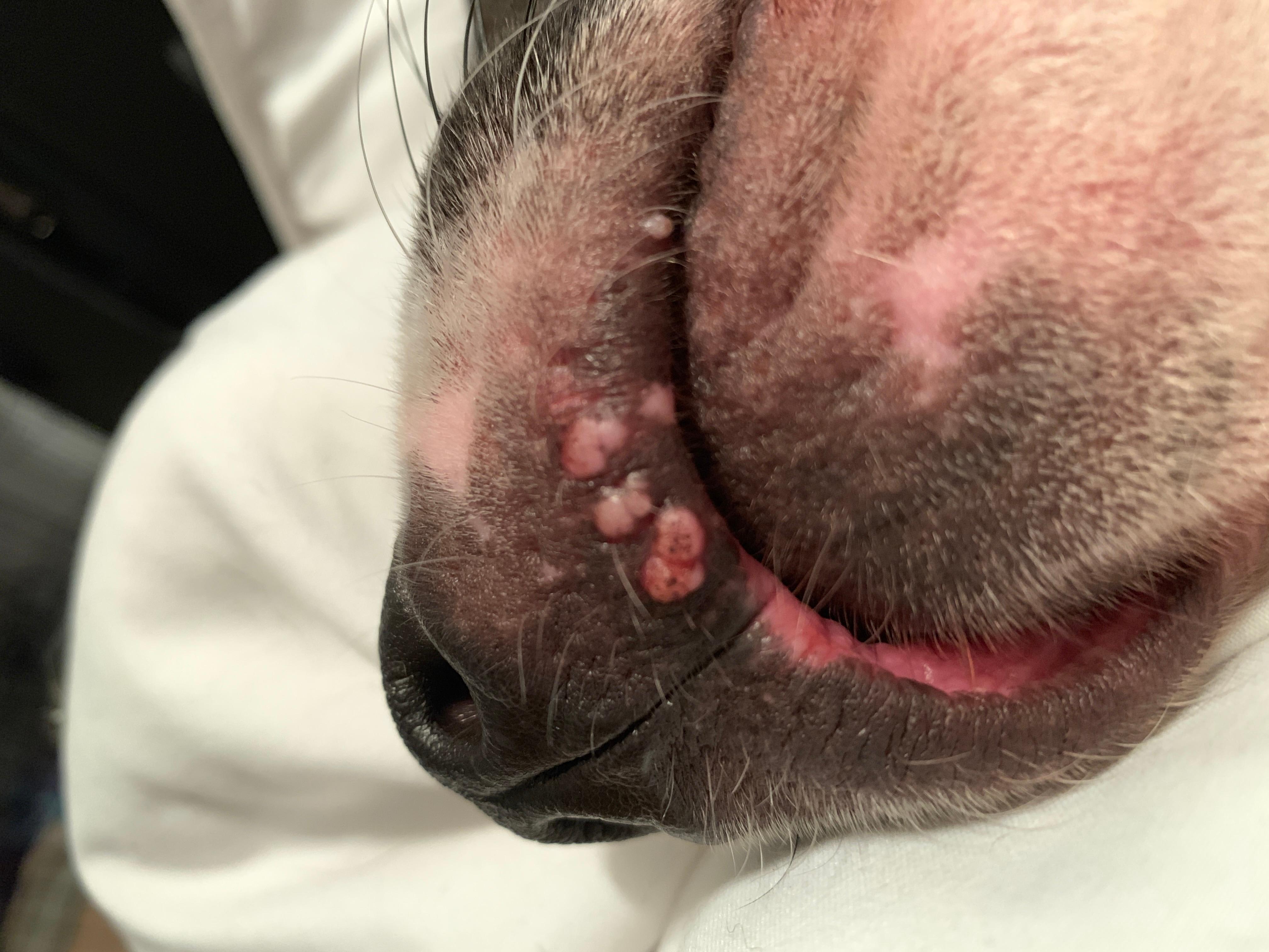 Question details sensitive content