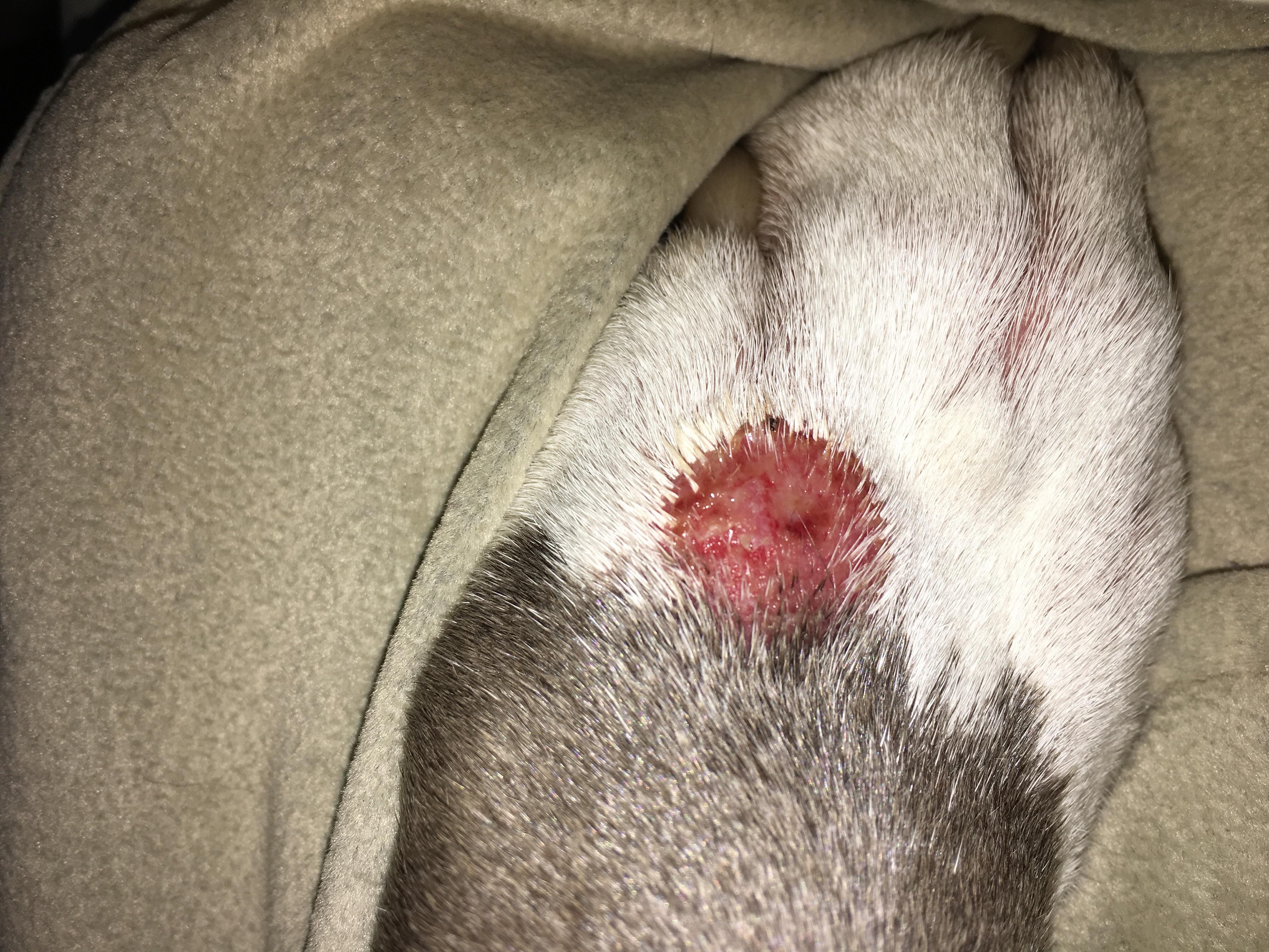 Question details sensitive content