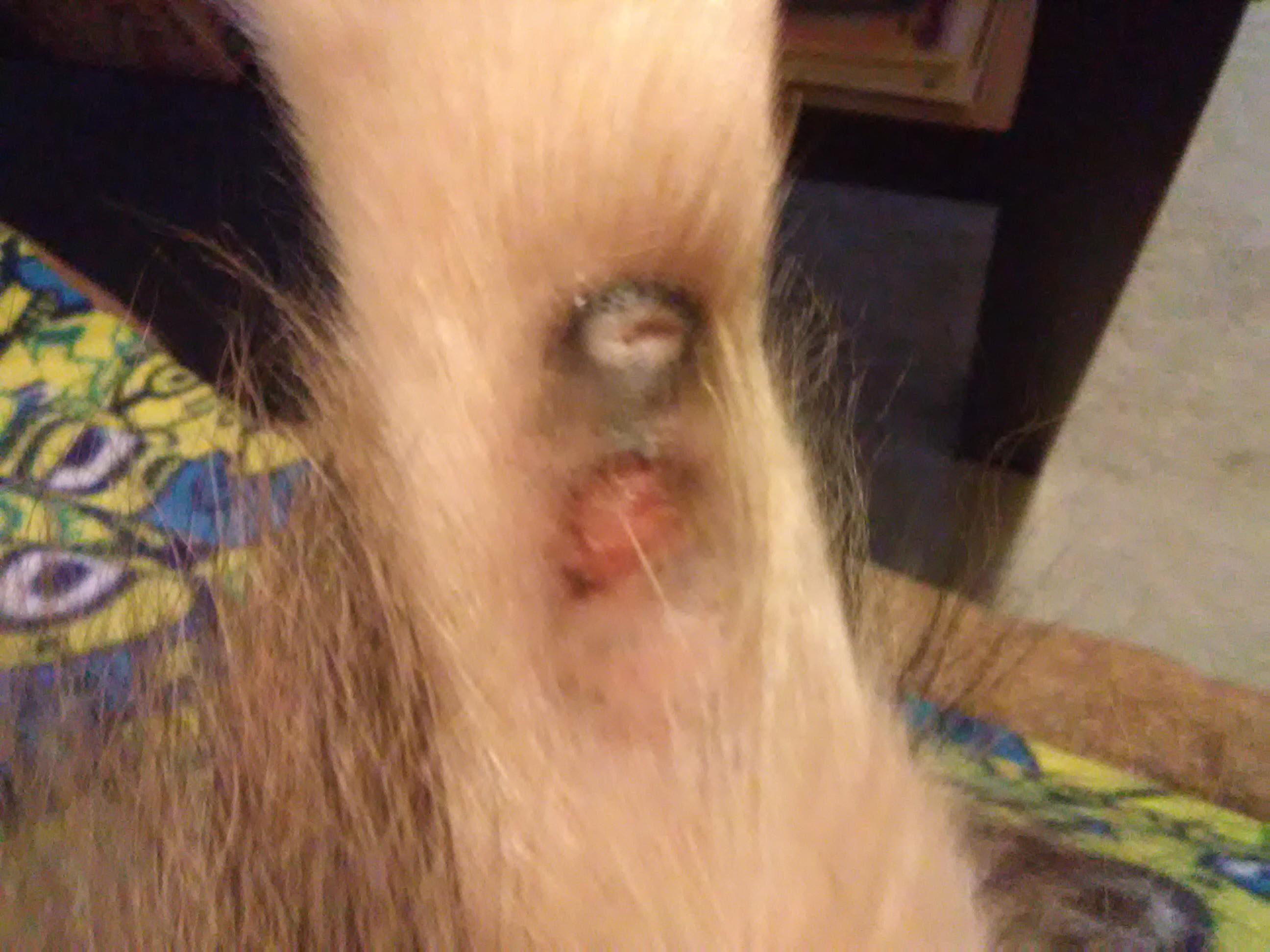 Question details sensitive content