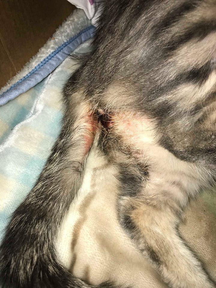 Question details sensitive content