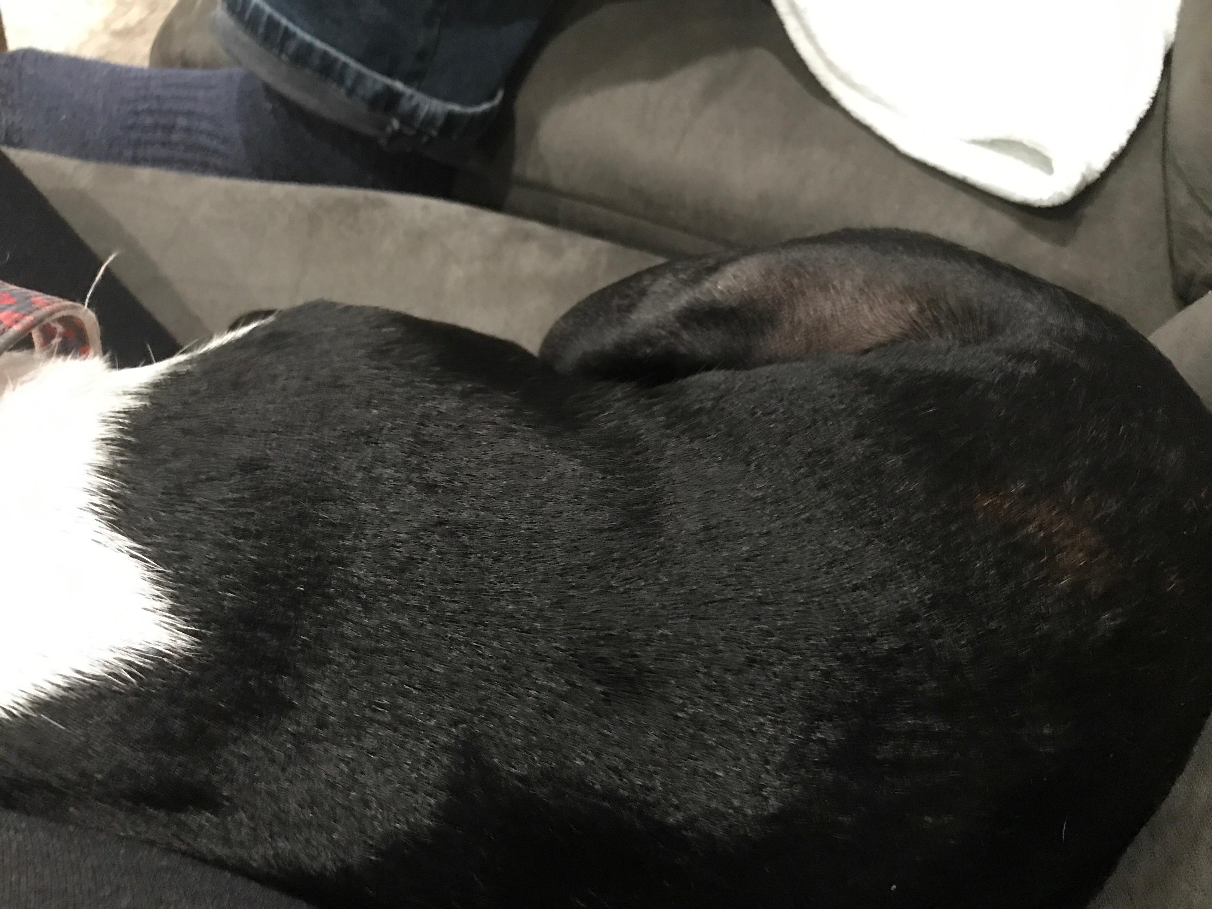 Question details sensitive content