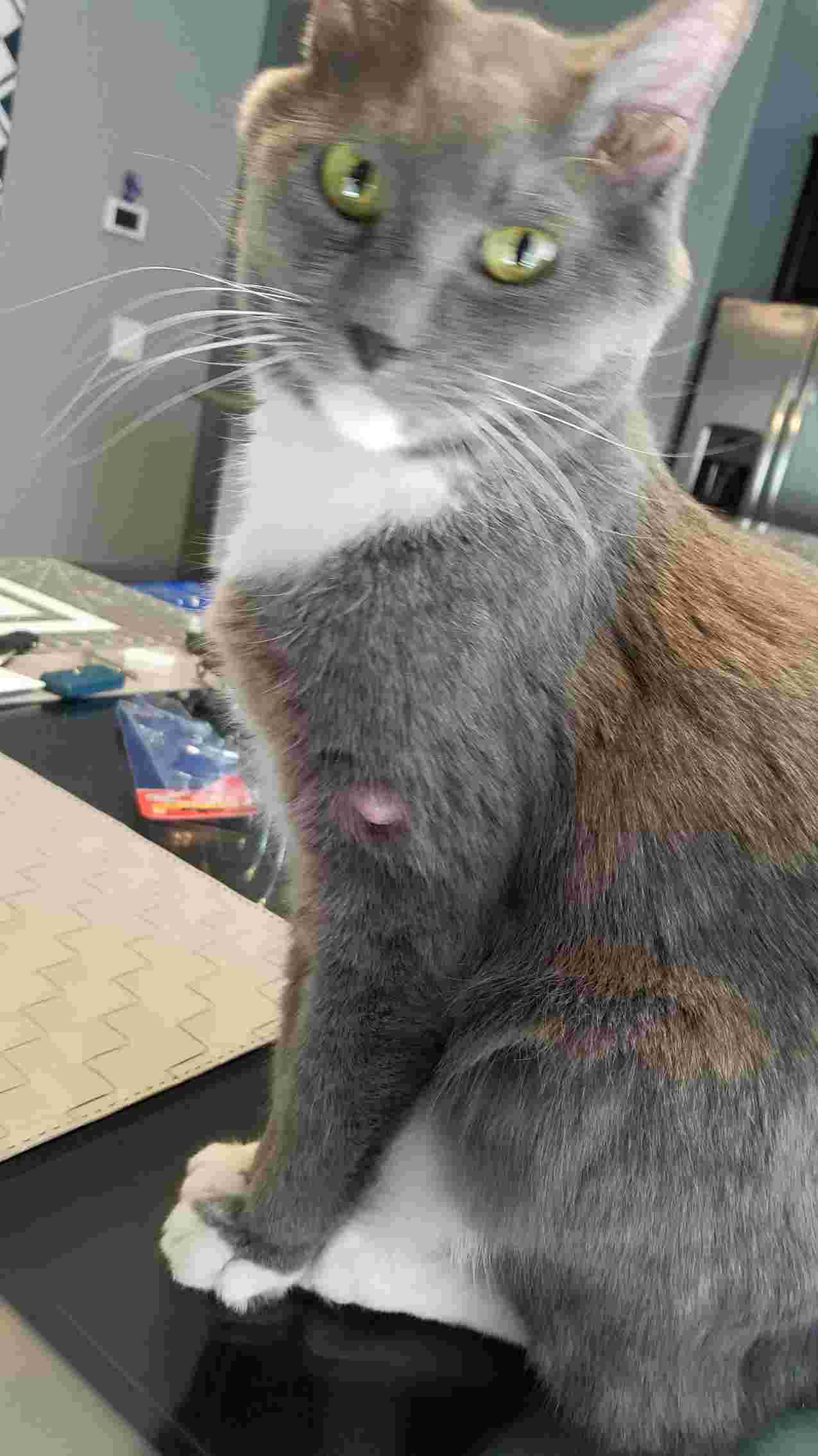 Question details sensitive content