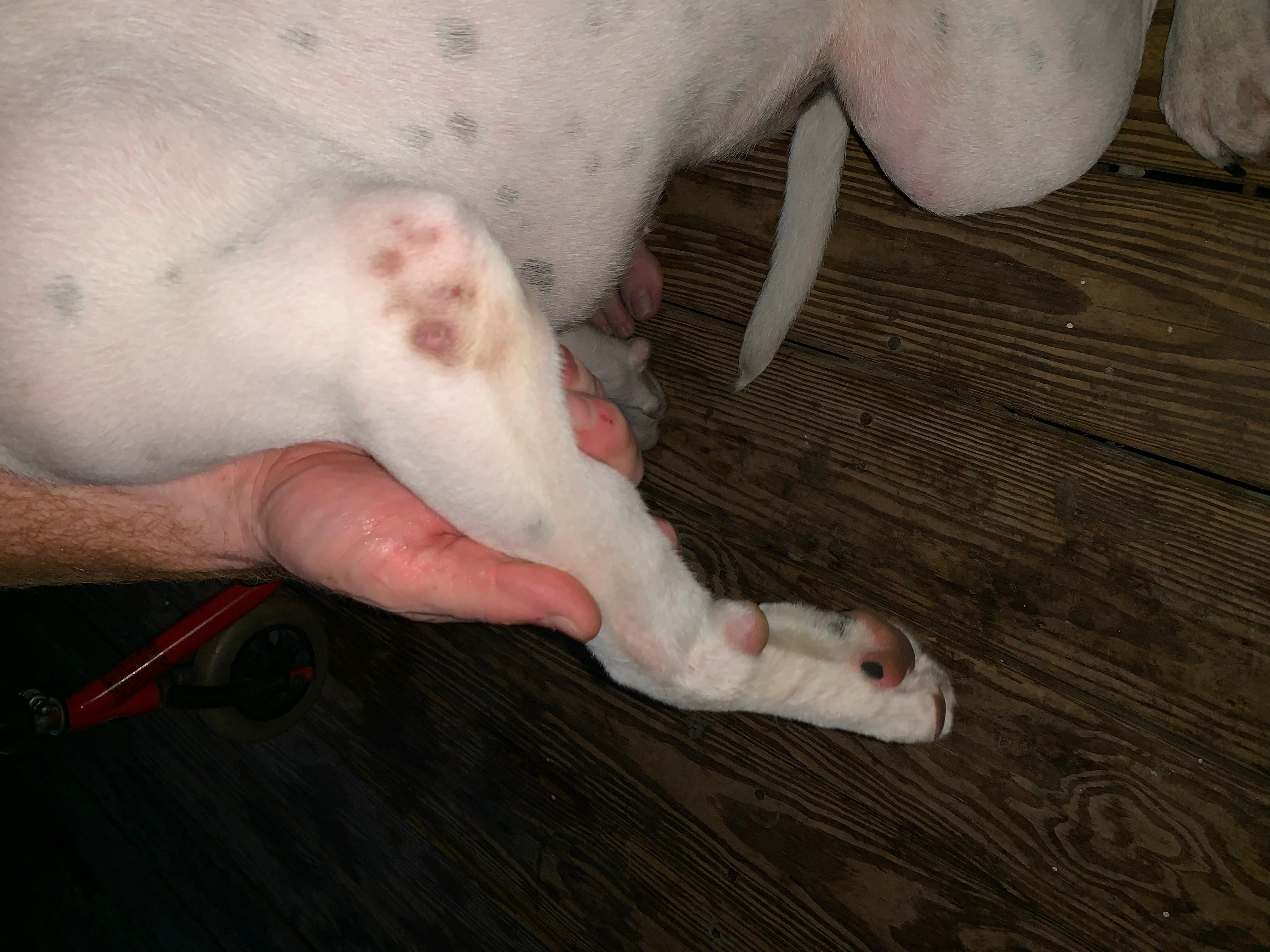 Question details sensitive content