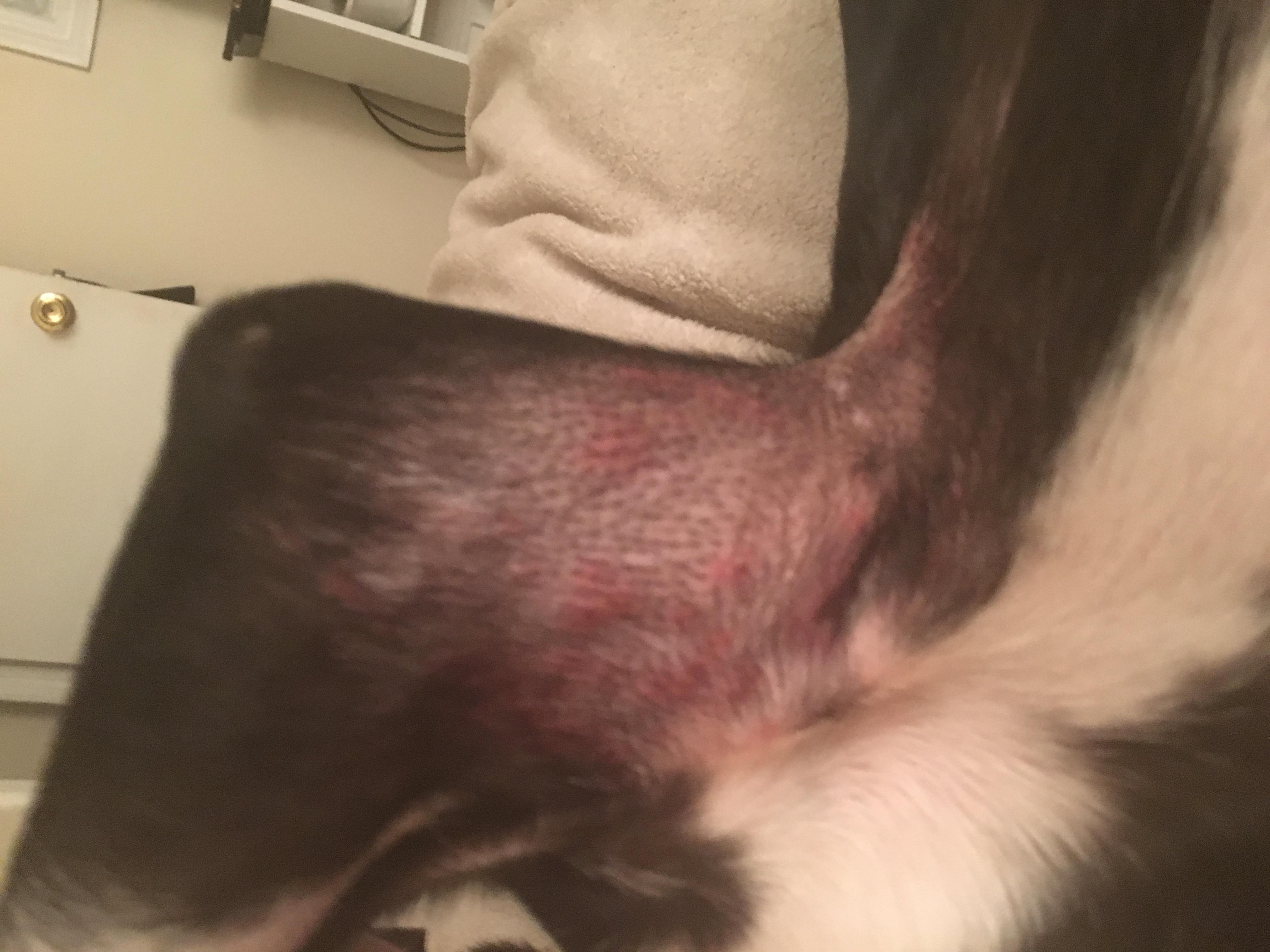 Question details sensitive content