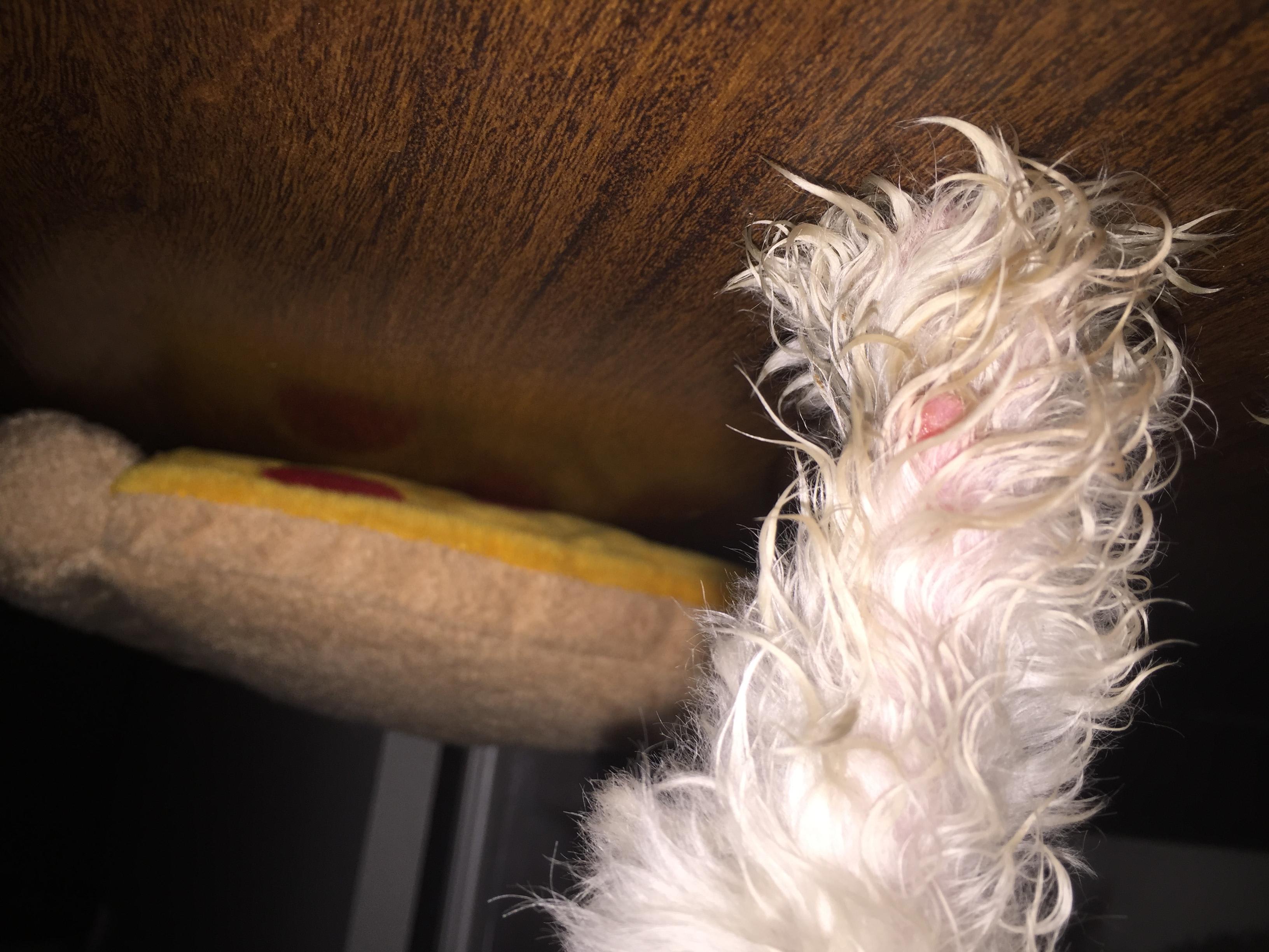 Question details sensitive content