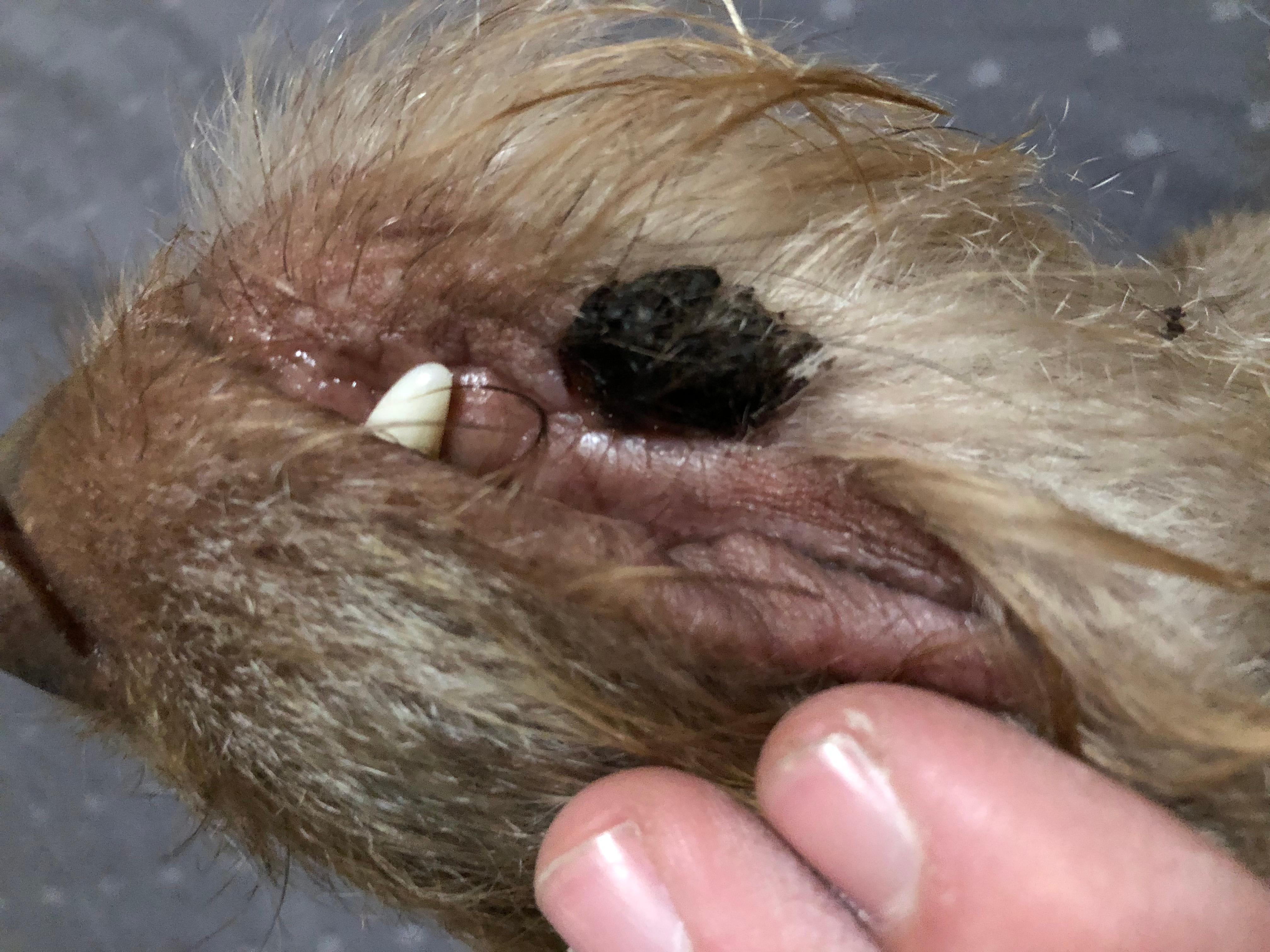 Question details sensitive content