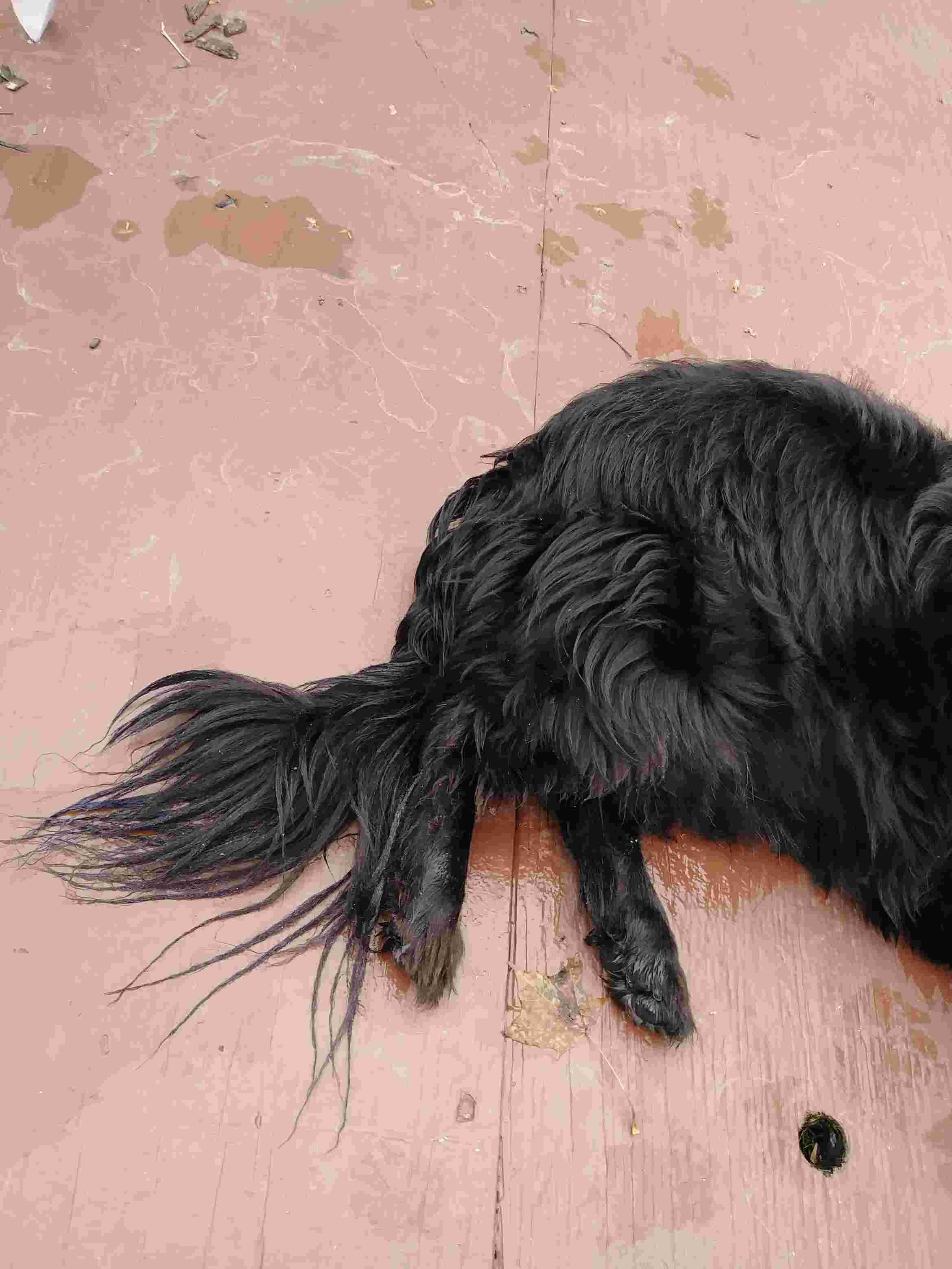 Question details sensitive content