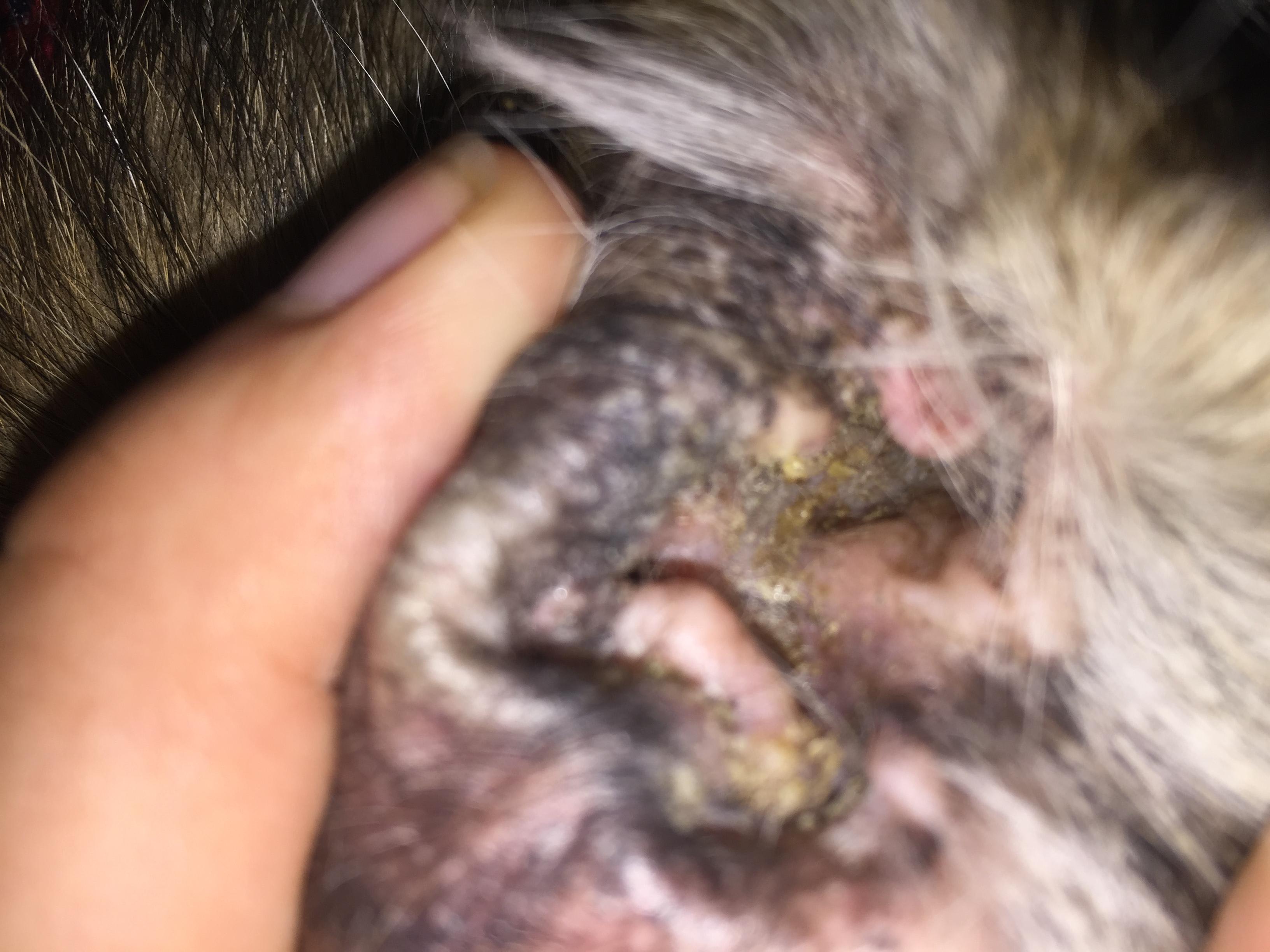 Question details sensitive content