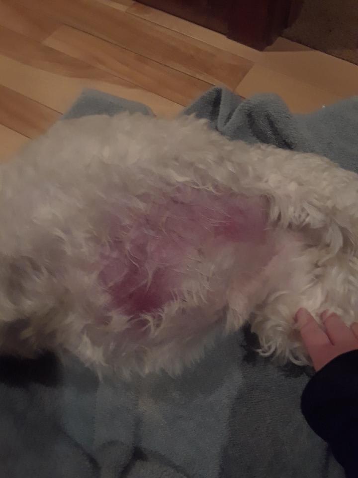 Question details sensitive content