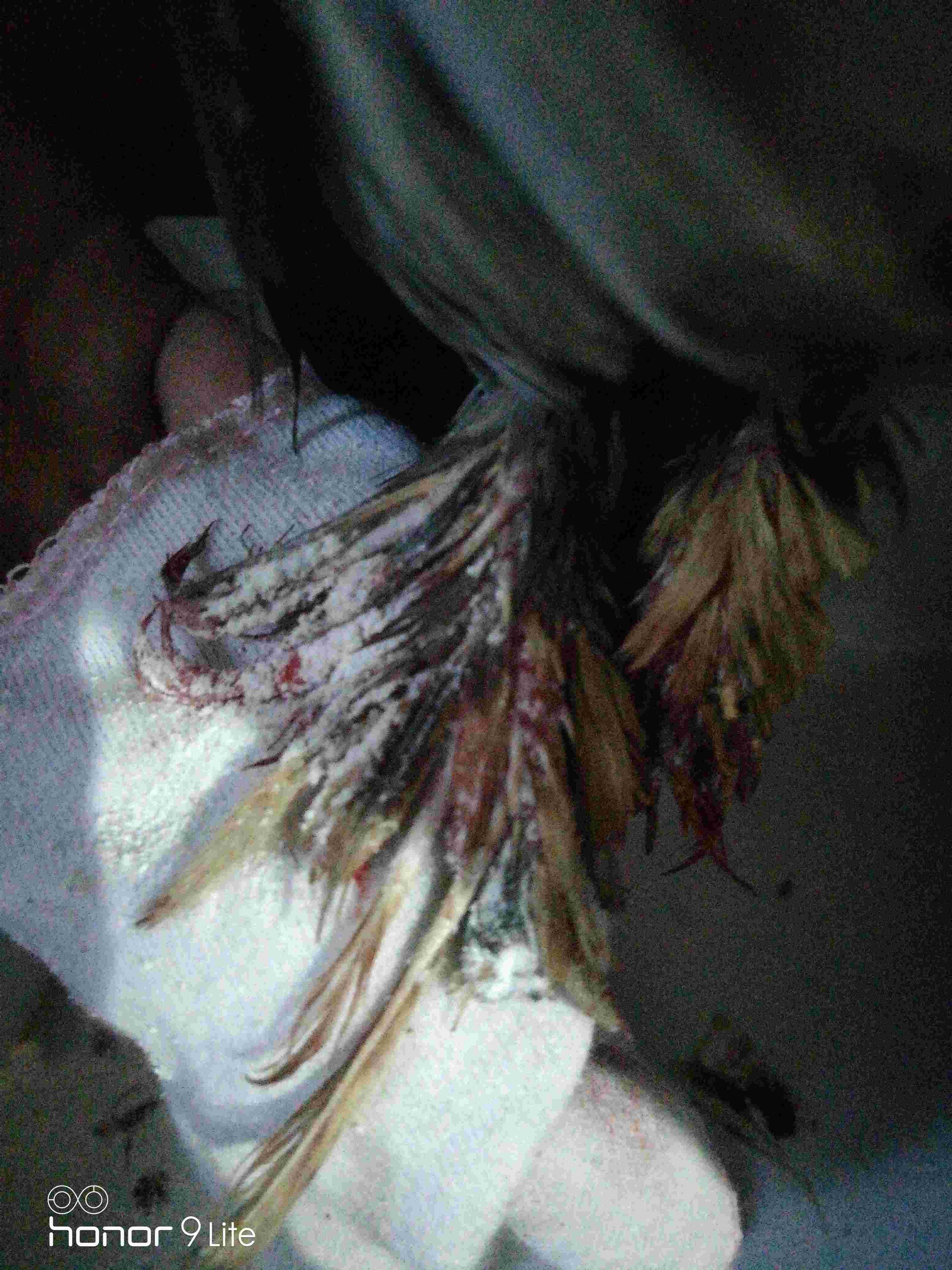 Question details sensitive content