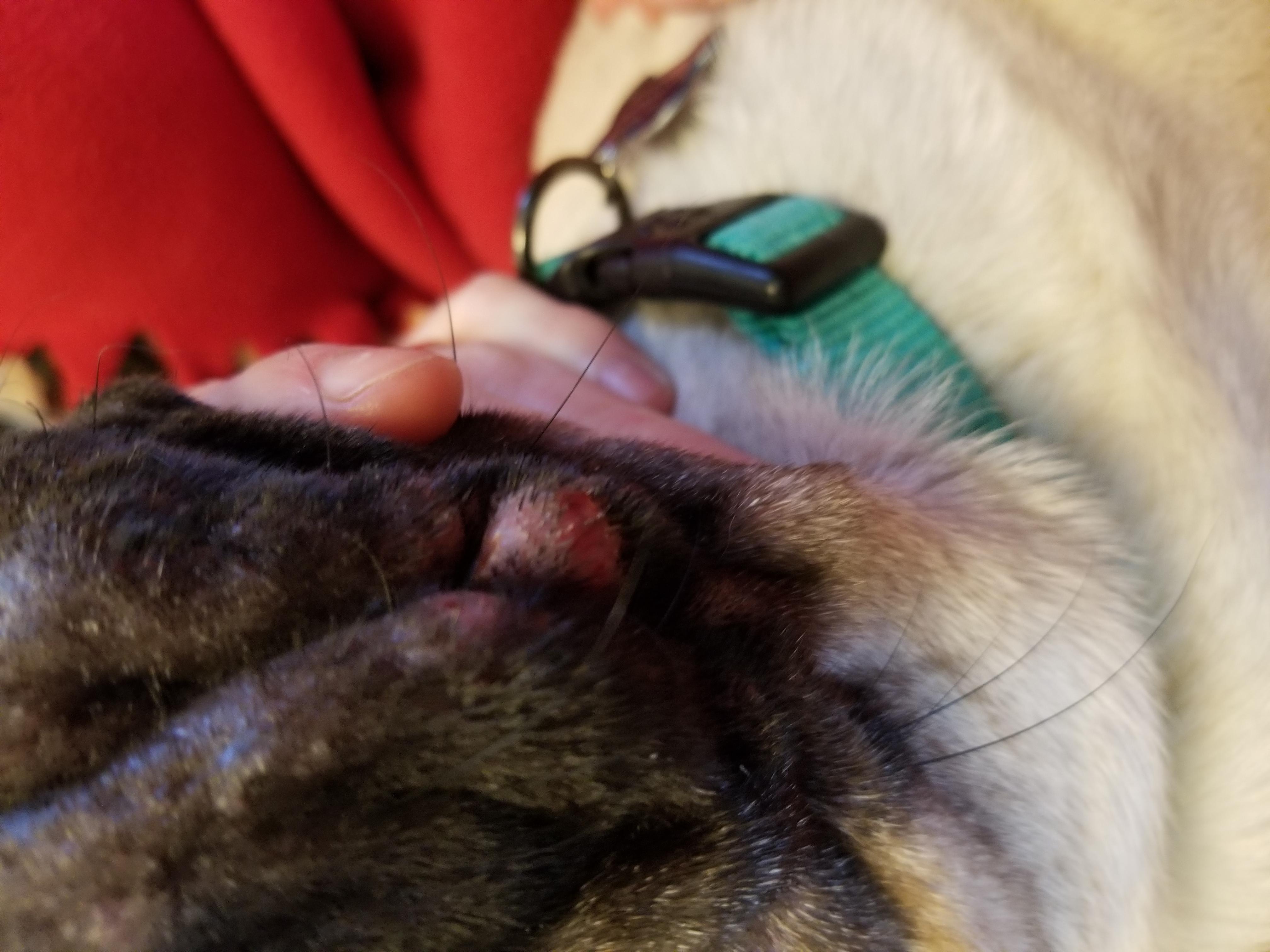 Question details sensitive content