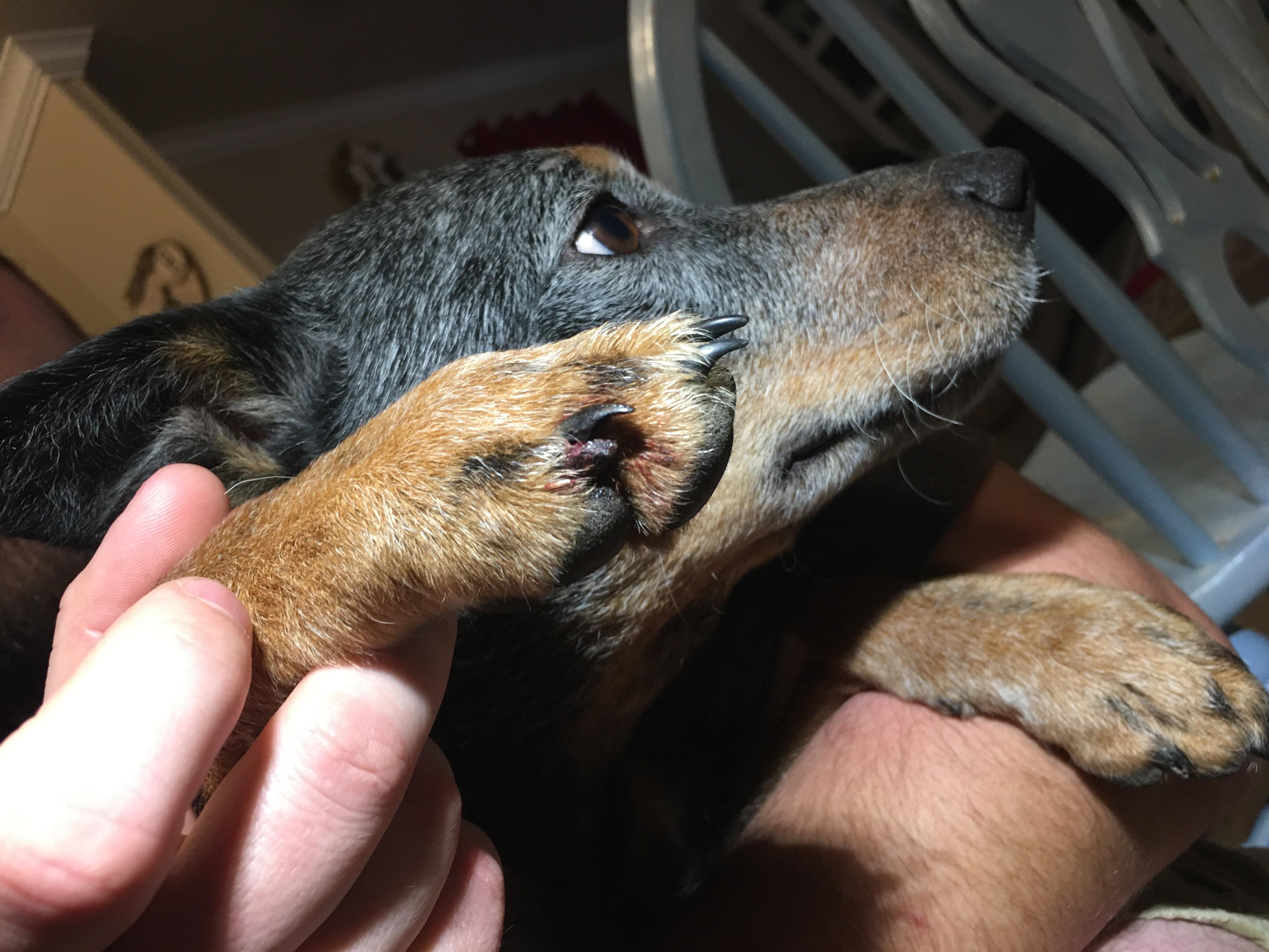 Question details sensitive content