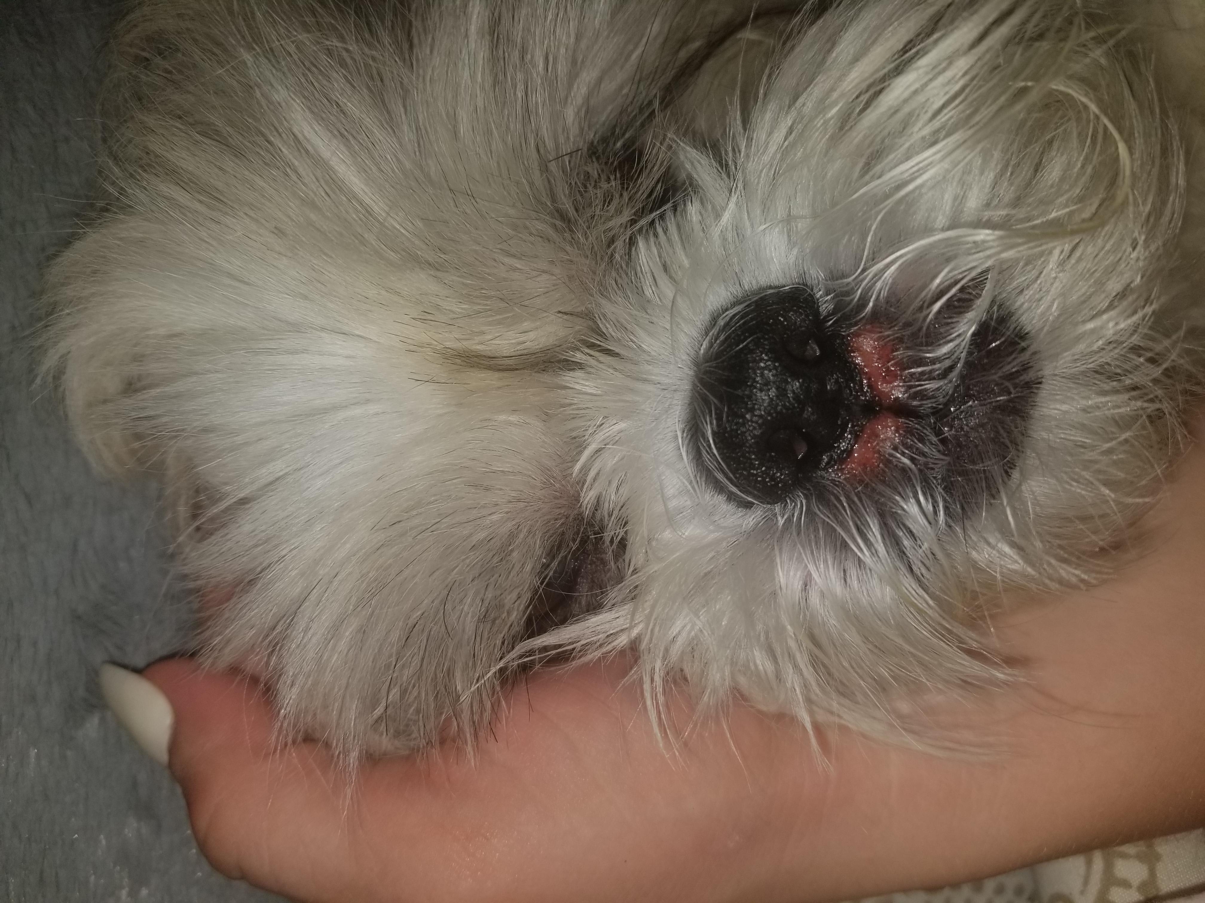 Question details sensitive content