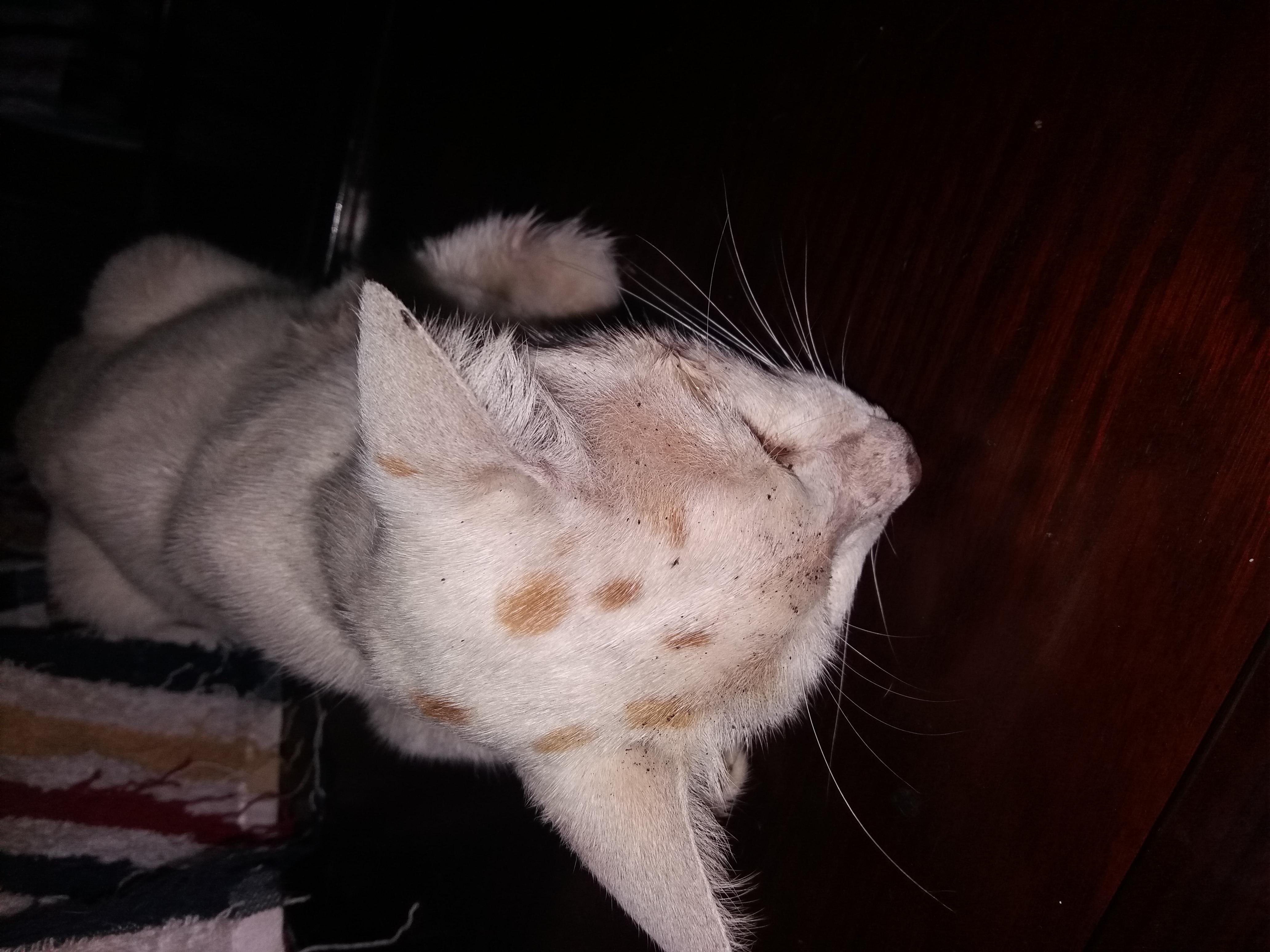 Question details sensitive content