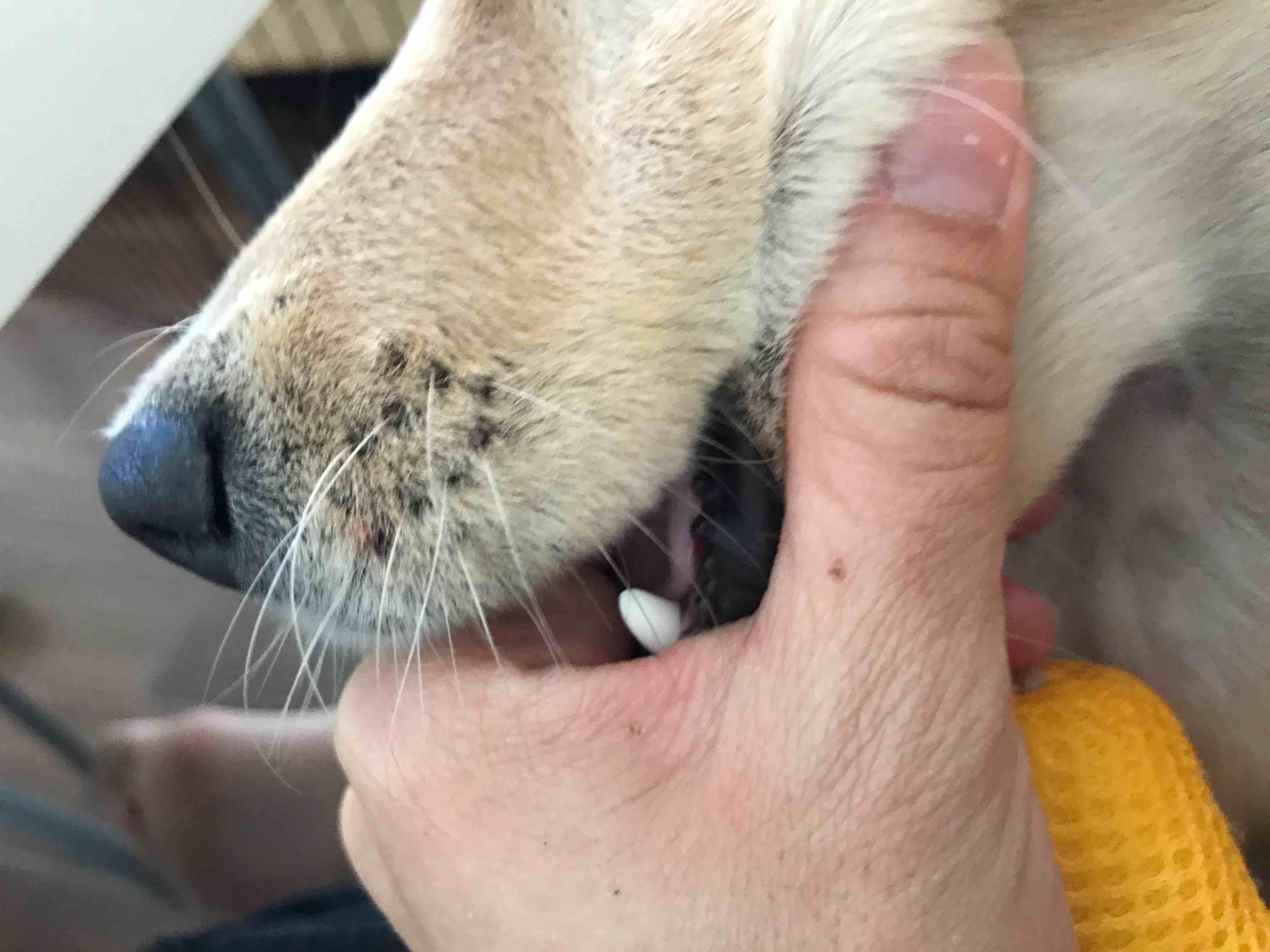 Question details sensitive content