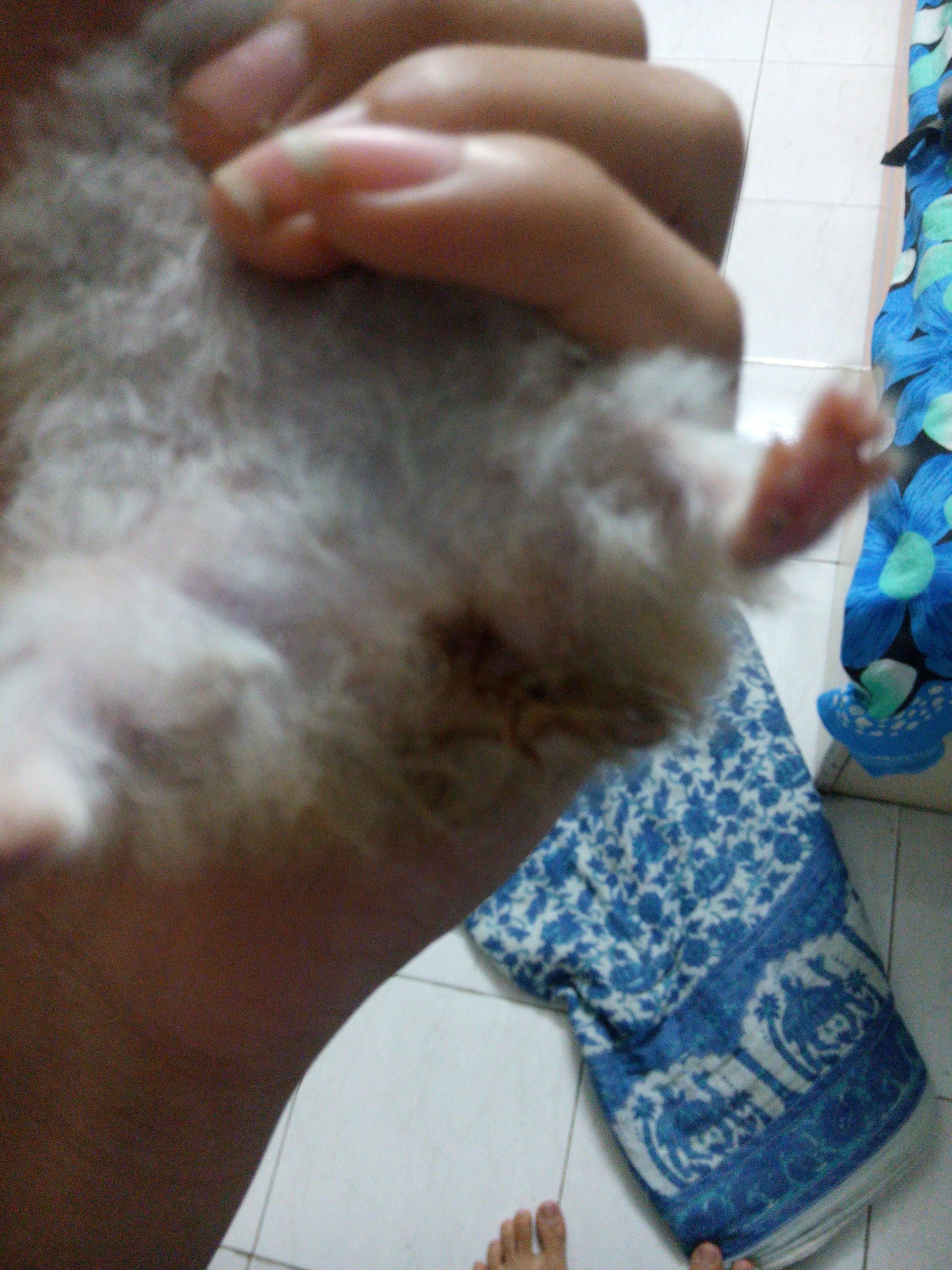 Question details sensitive content