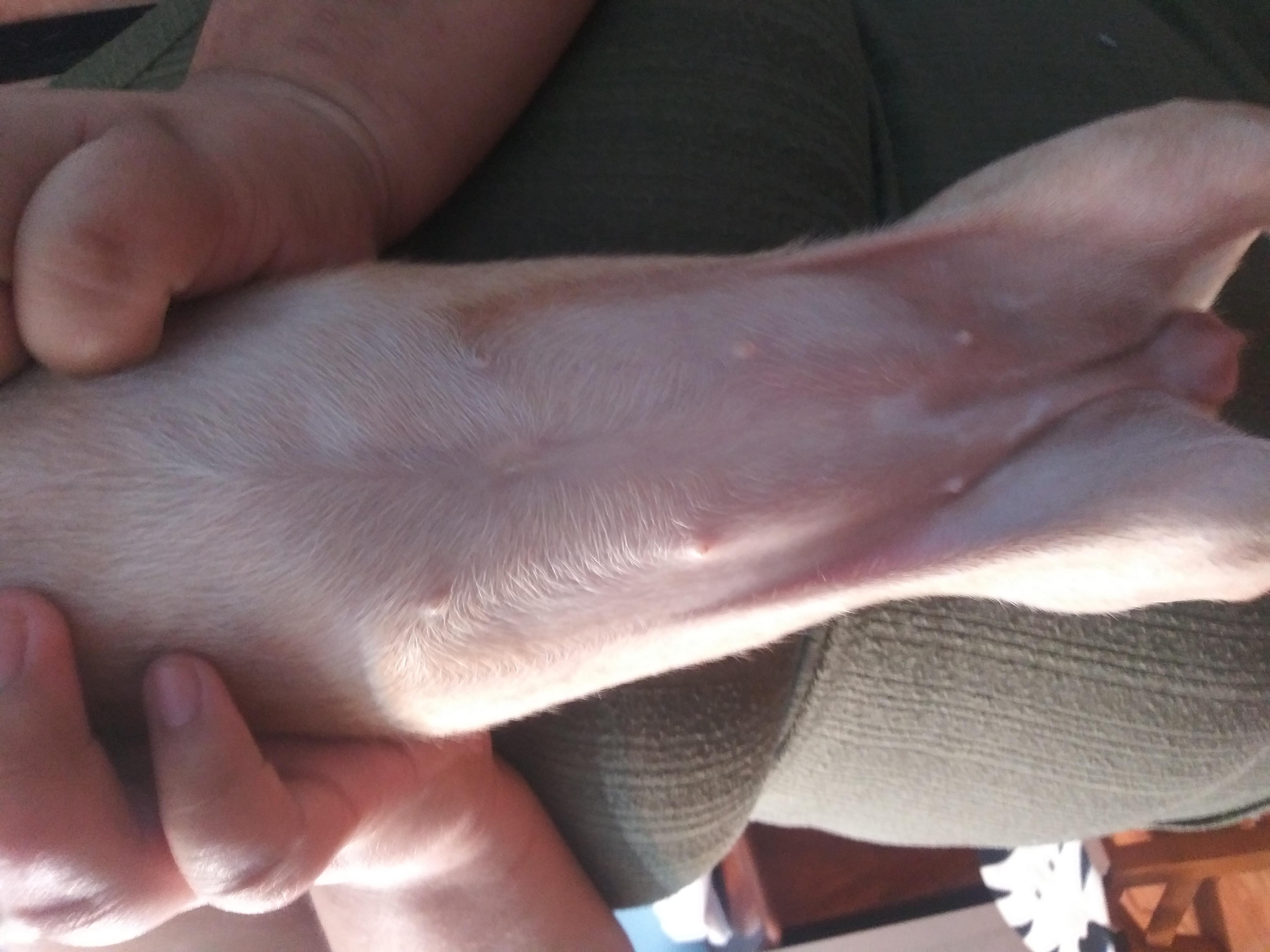 Question details sensitive content