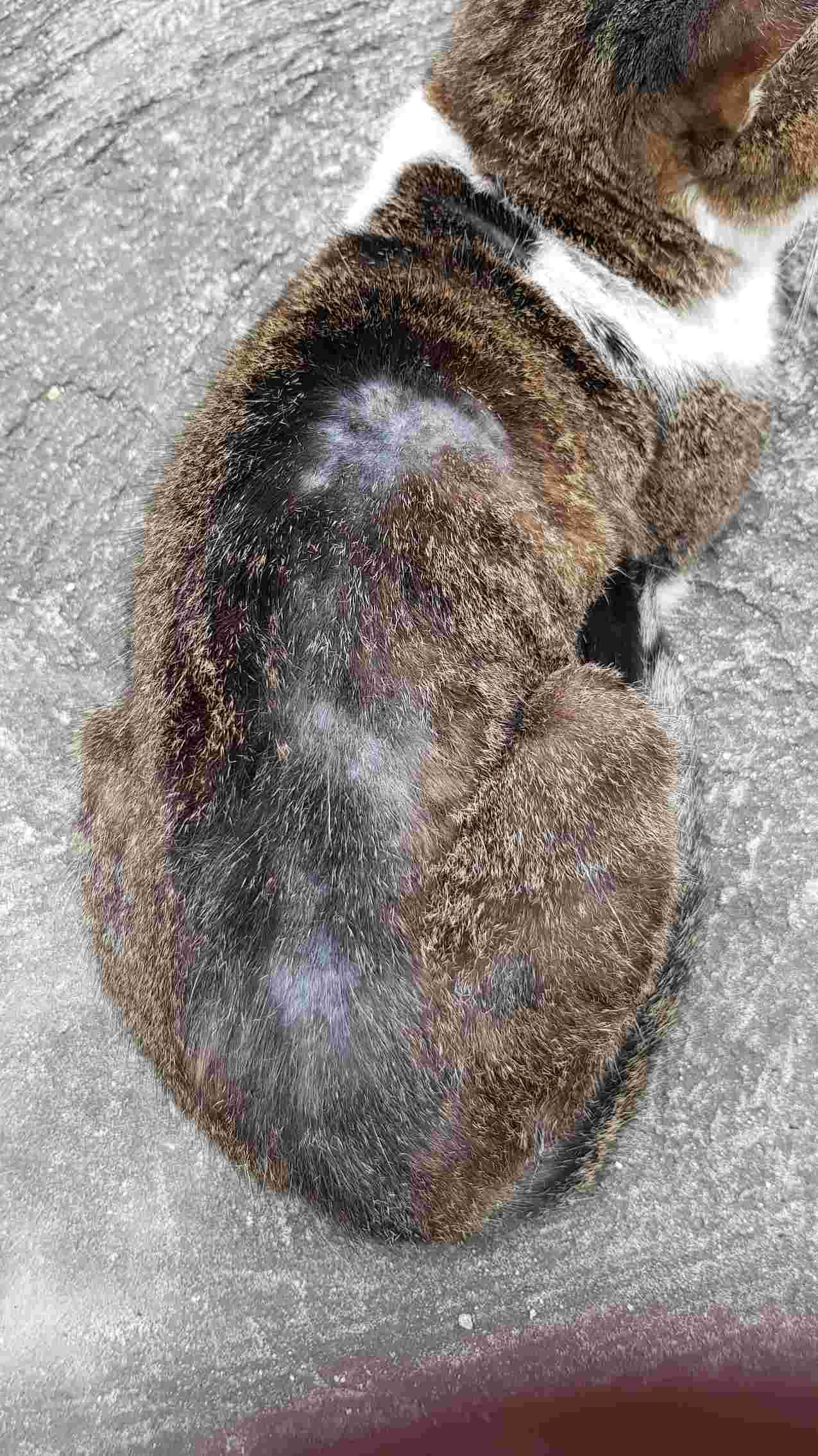 Question details sensitive content