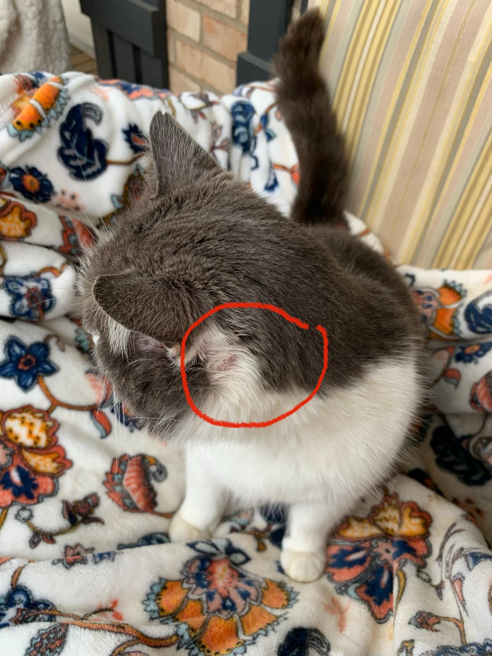 Question details sensitive content