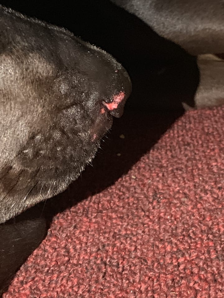 Question details sensitive content