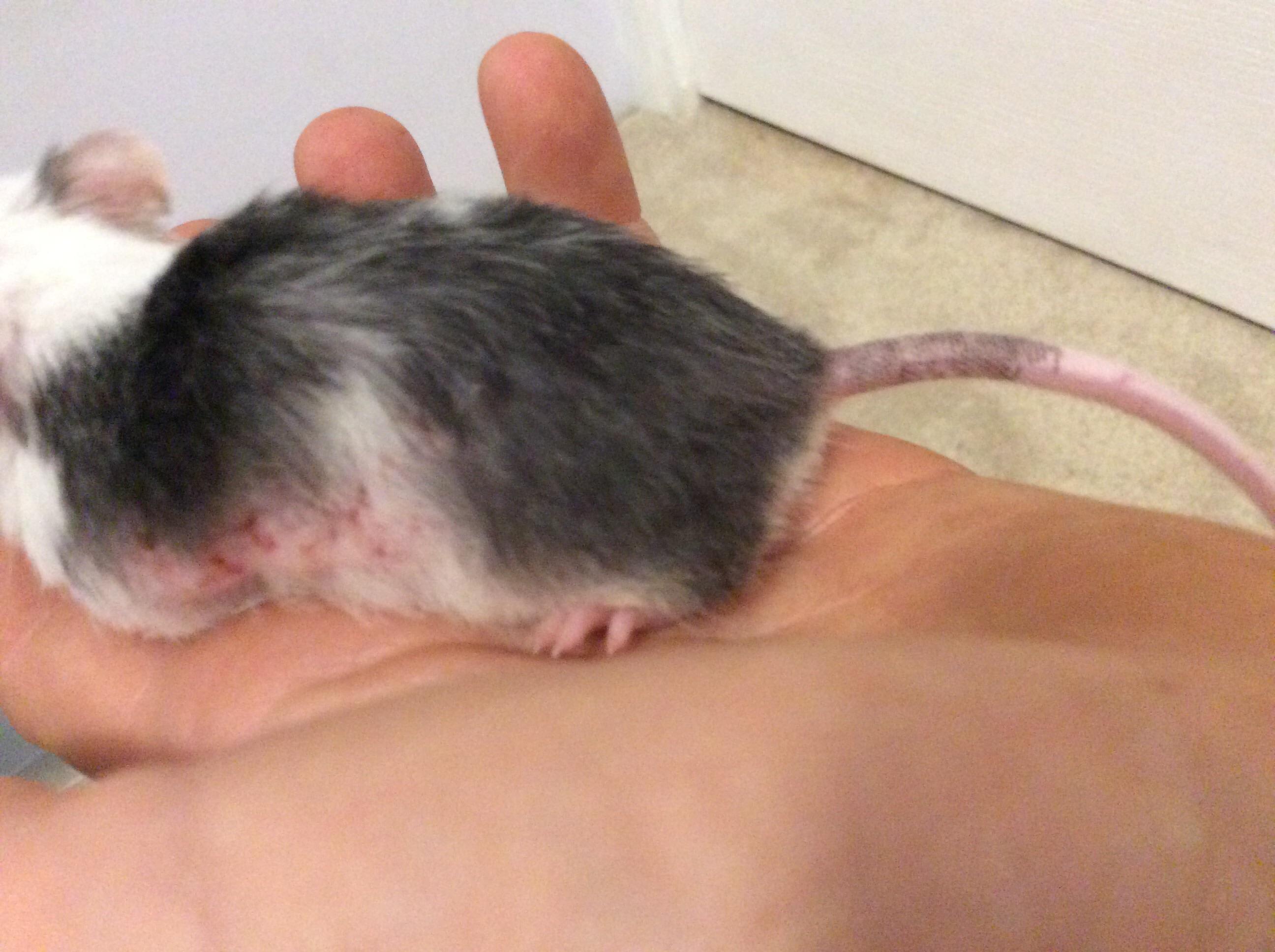 Question details sensitive content