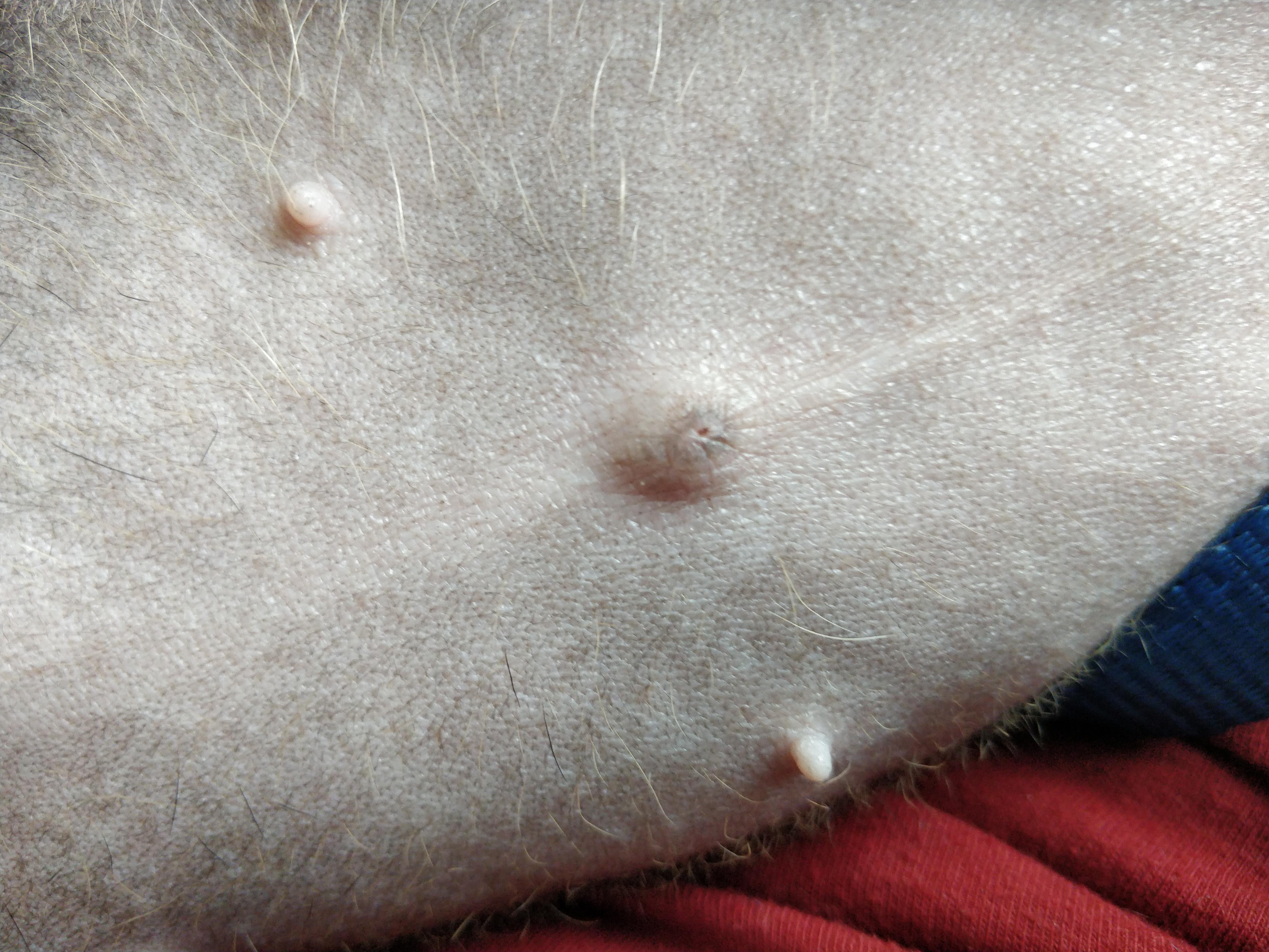 Question details sensitive content