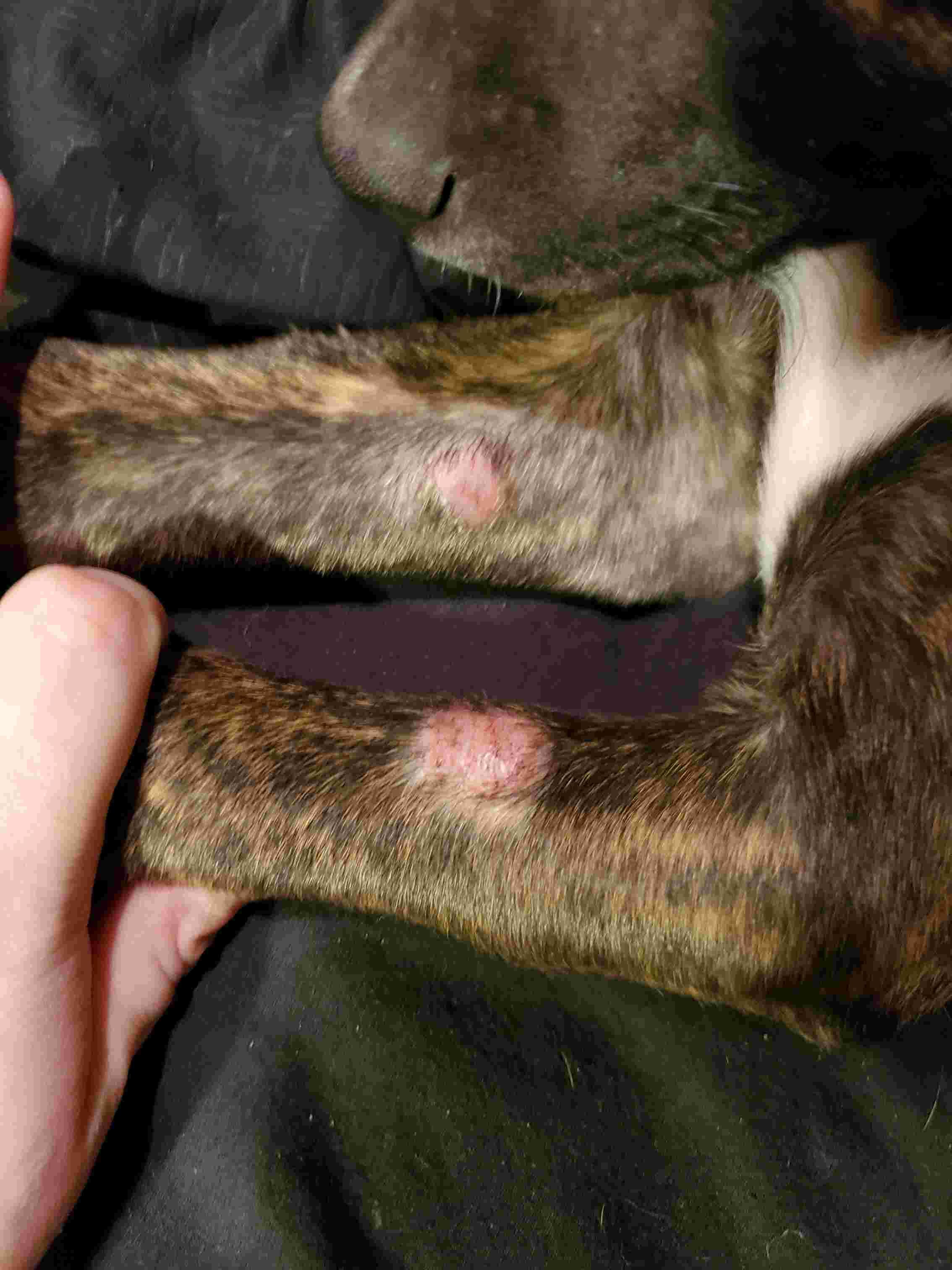 Question details sensitive content