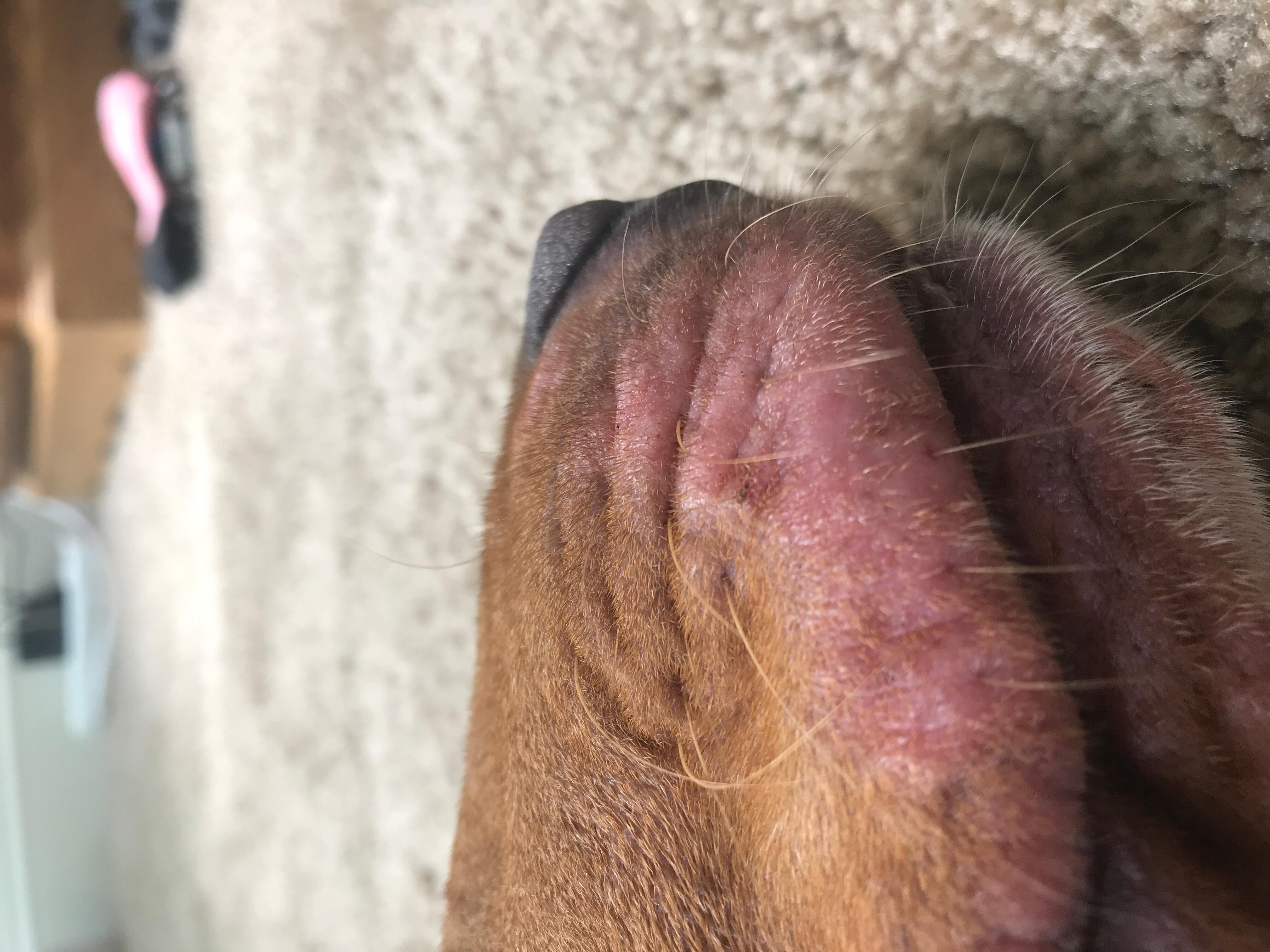 Question details sensitive content