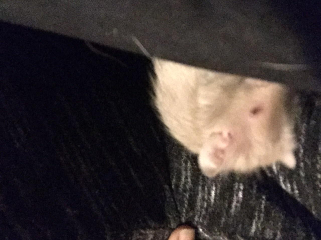 Question details sensitive content