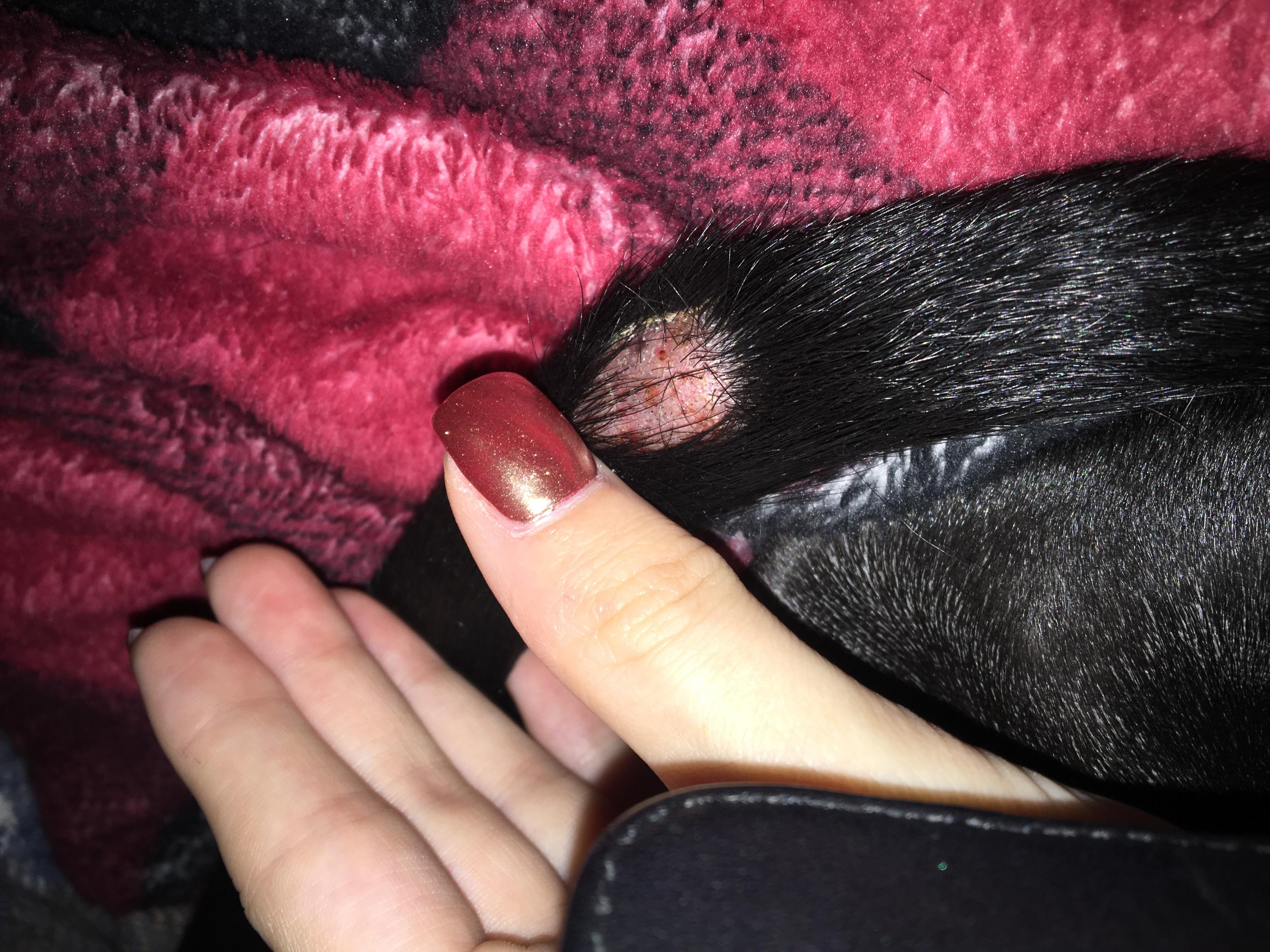 Question details sensitive content