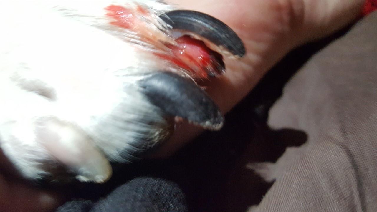 Question details sensitive content