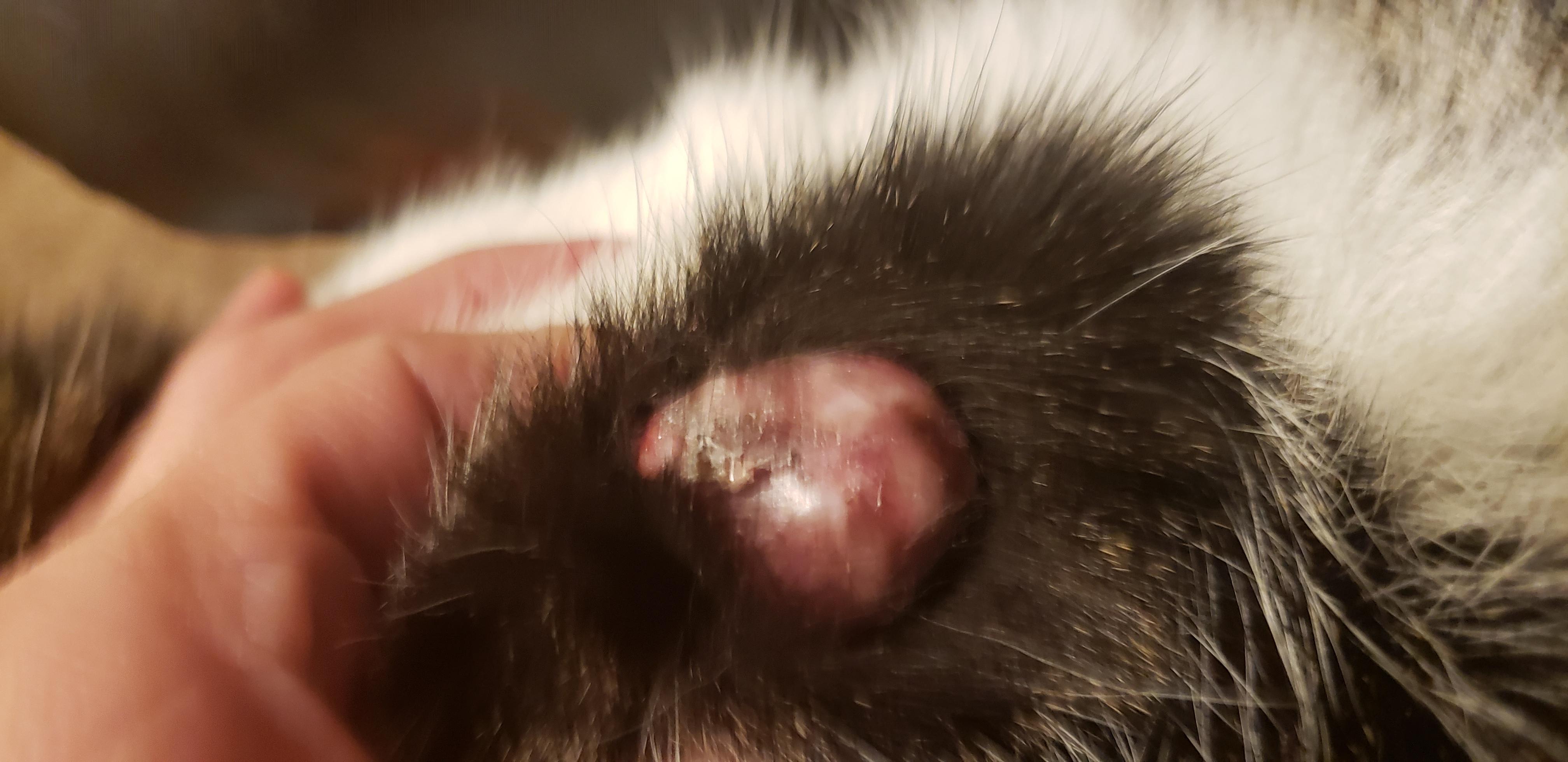 Question details sensitive content