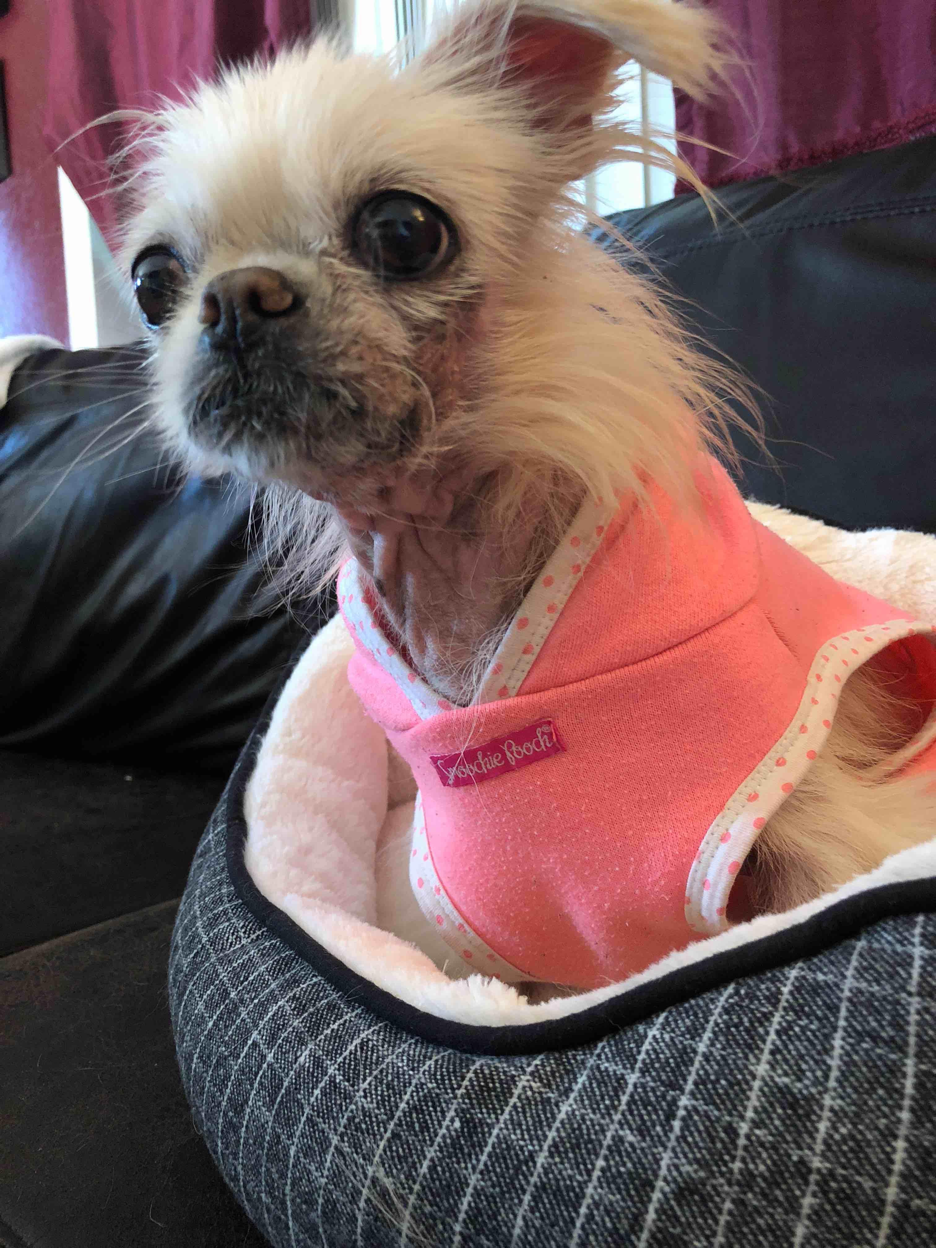 Question details sensitive content