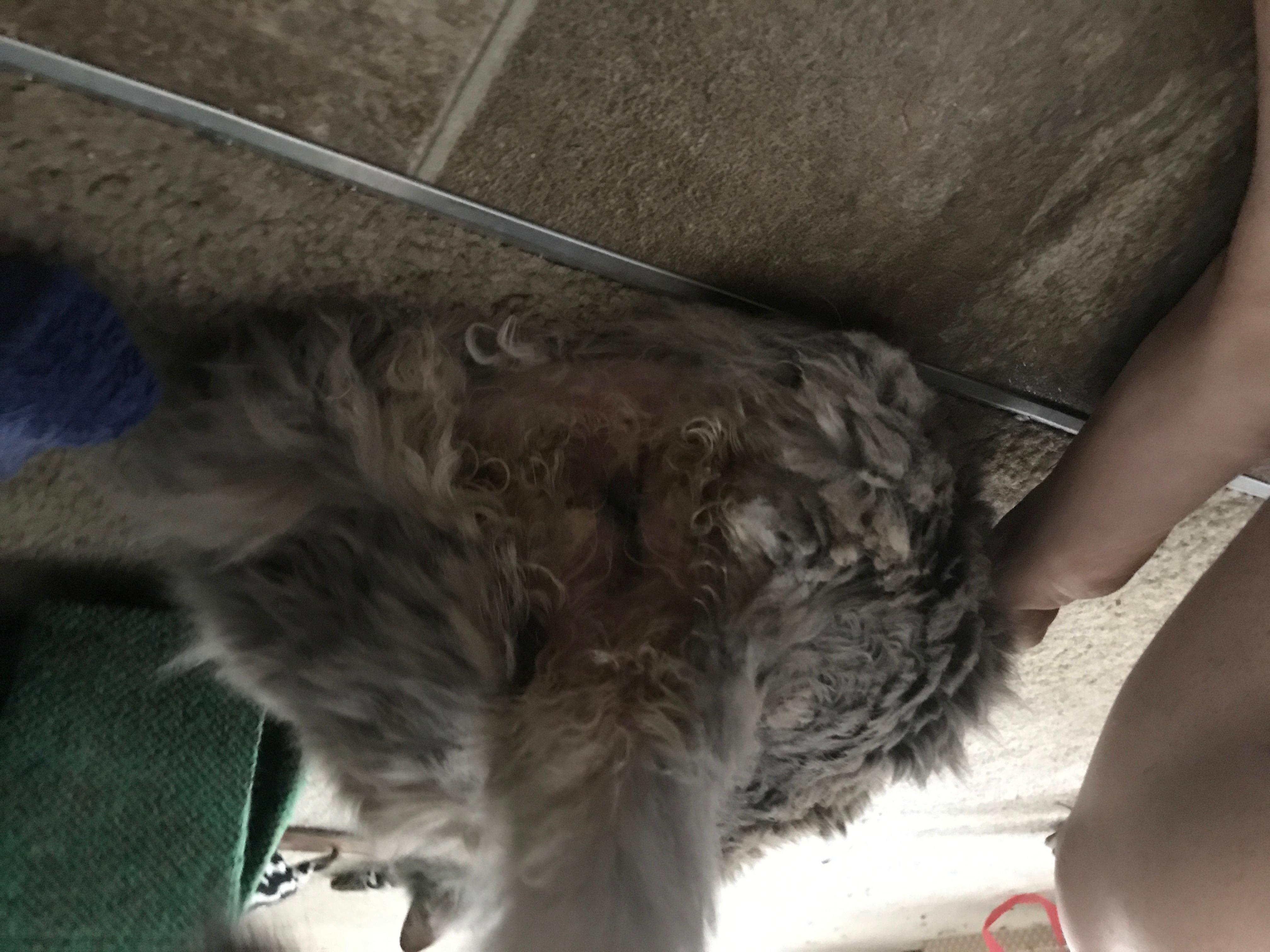 Question details sensitive content