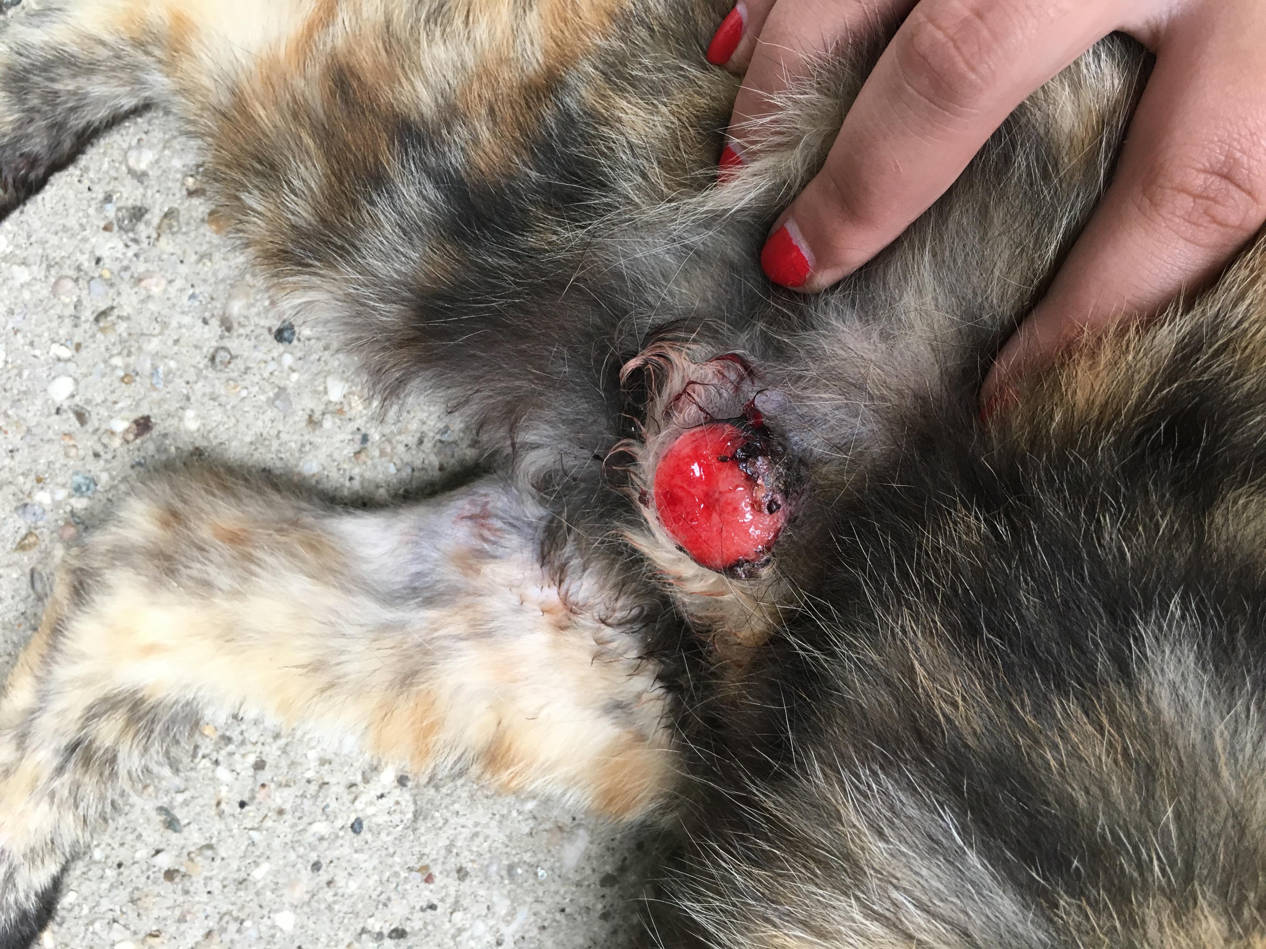 Question details sensitive content