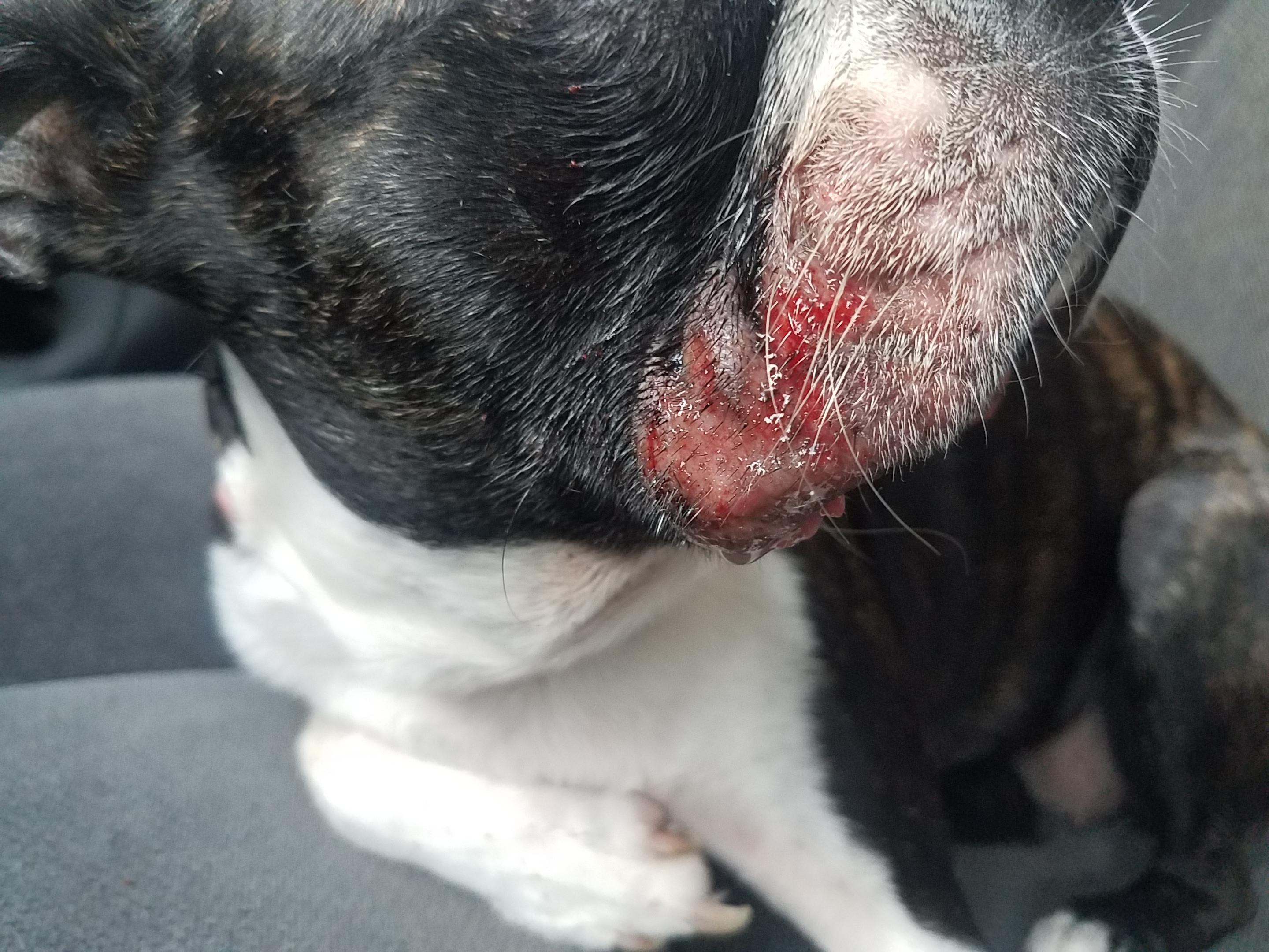 Question details sensitive content