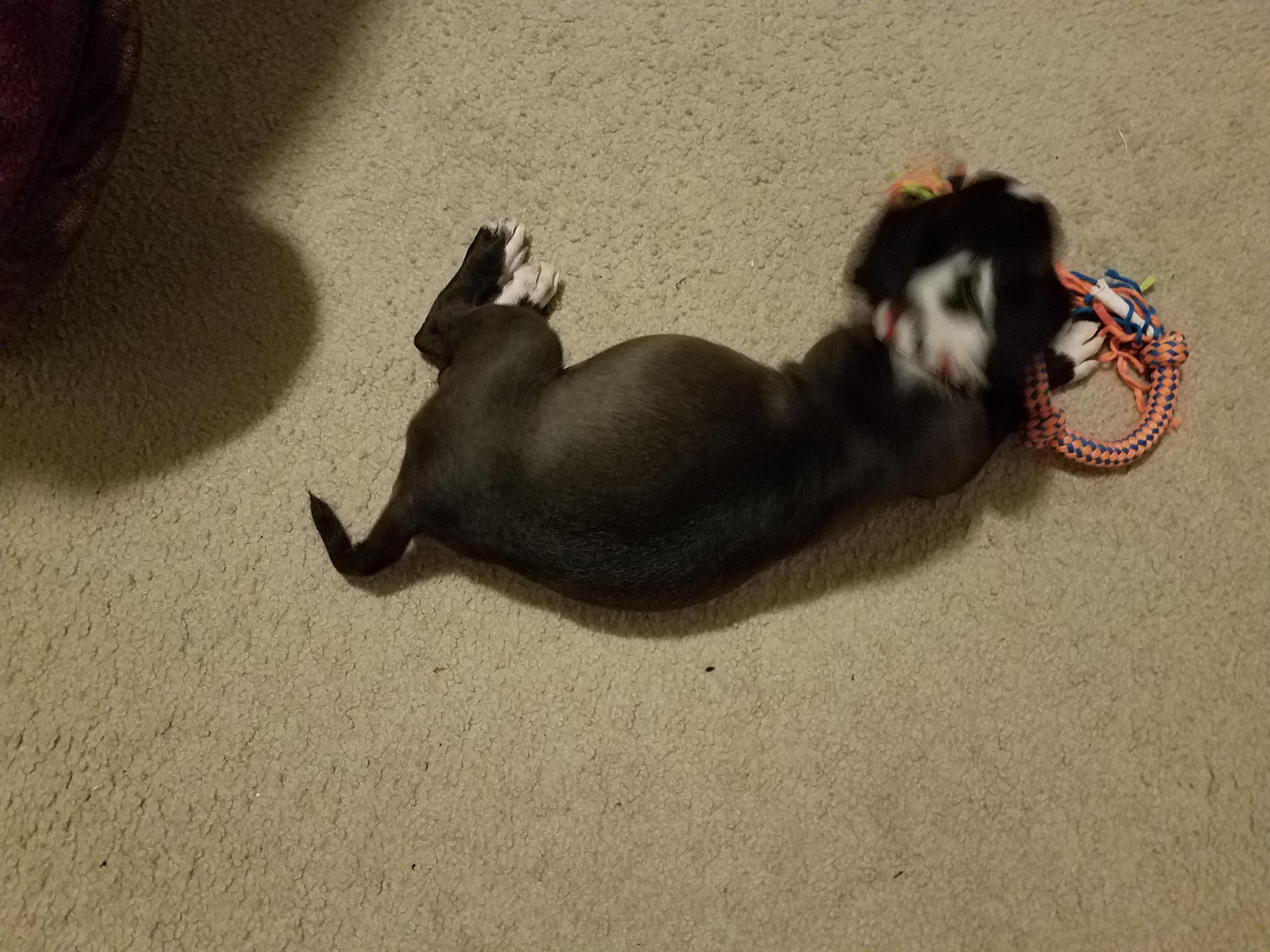 Question details sensitive content