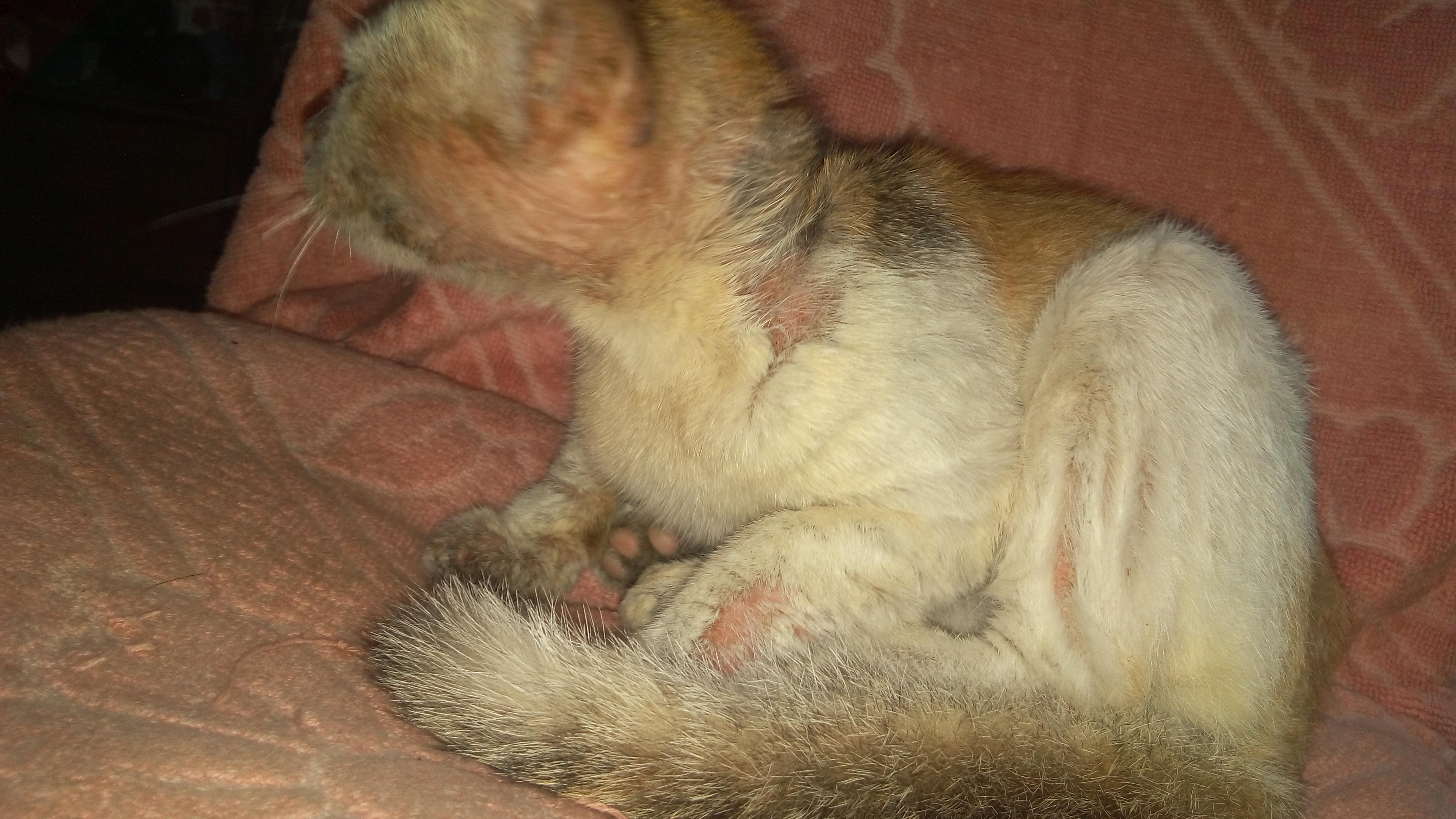 Question details sensitive content