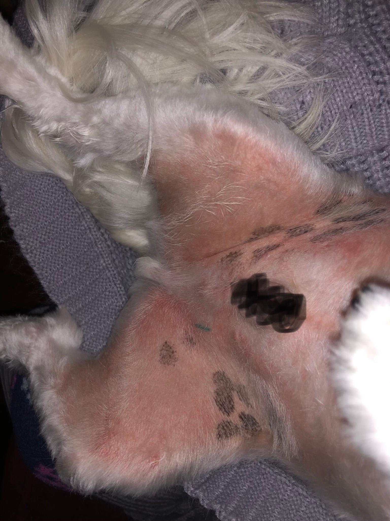 Question details sensitive content